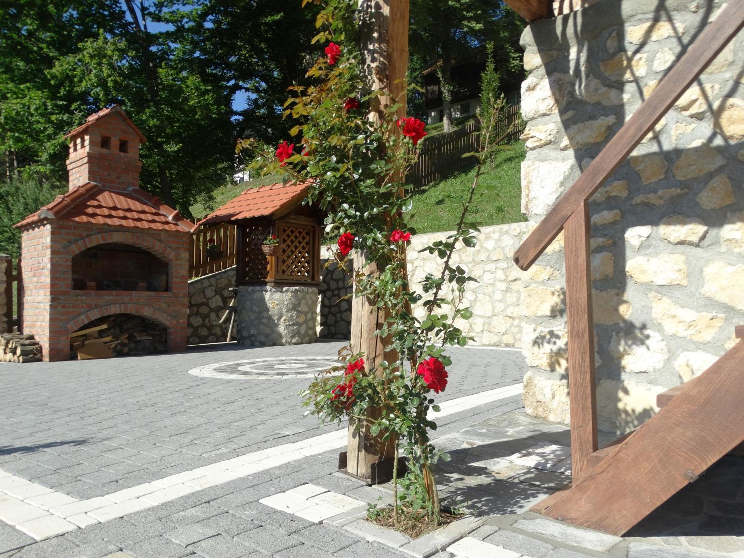 Photo 7