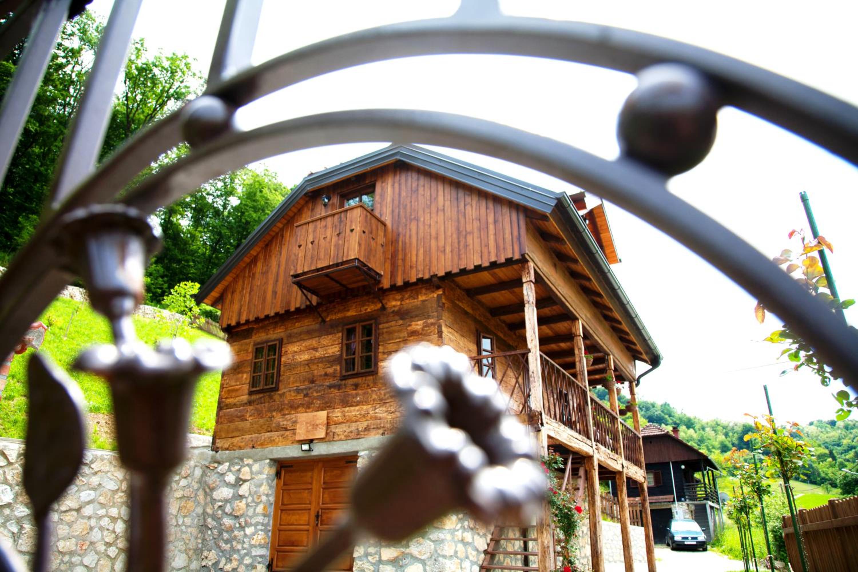 Vila Trnoružica view 5