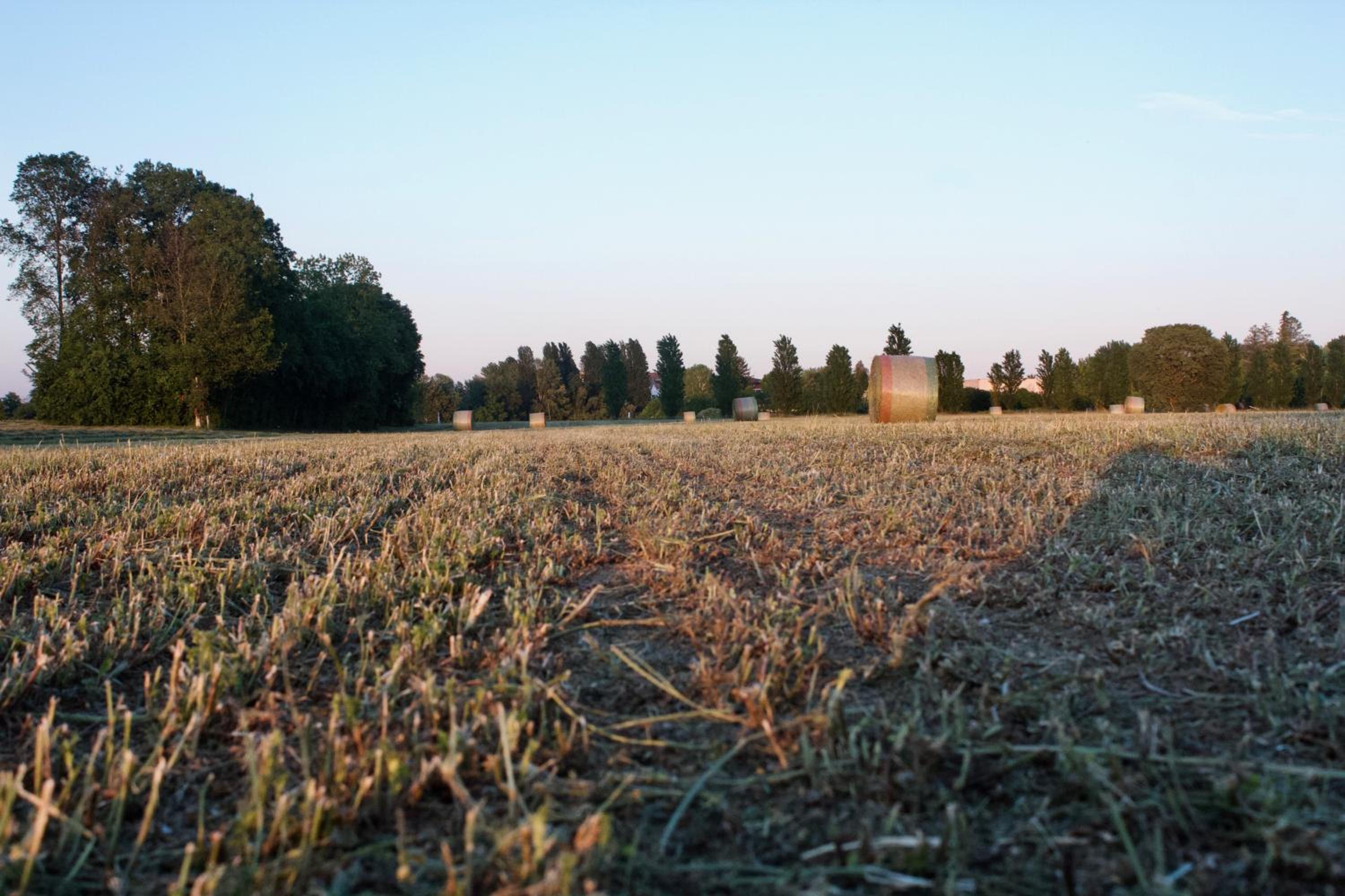 Photo 19