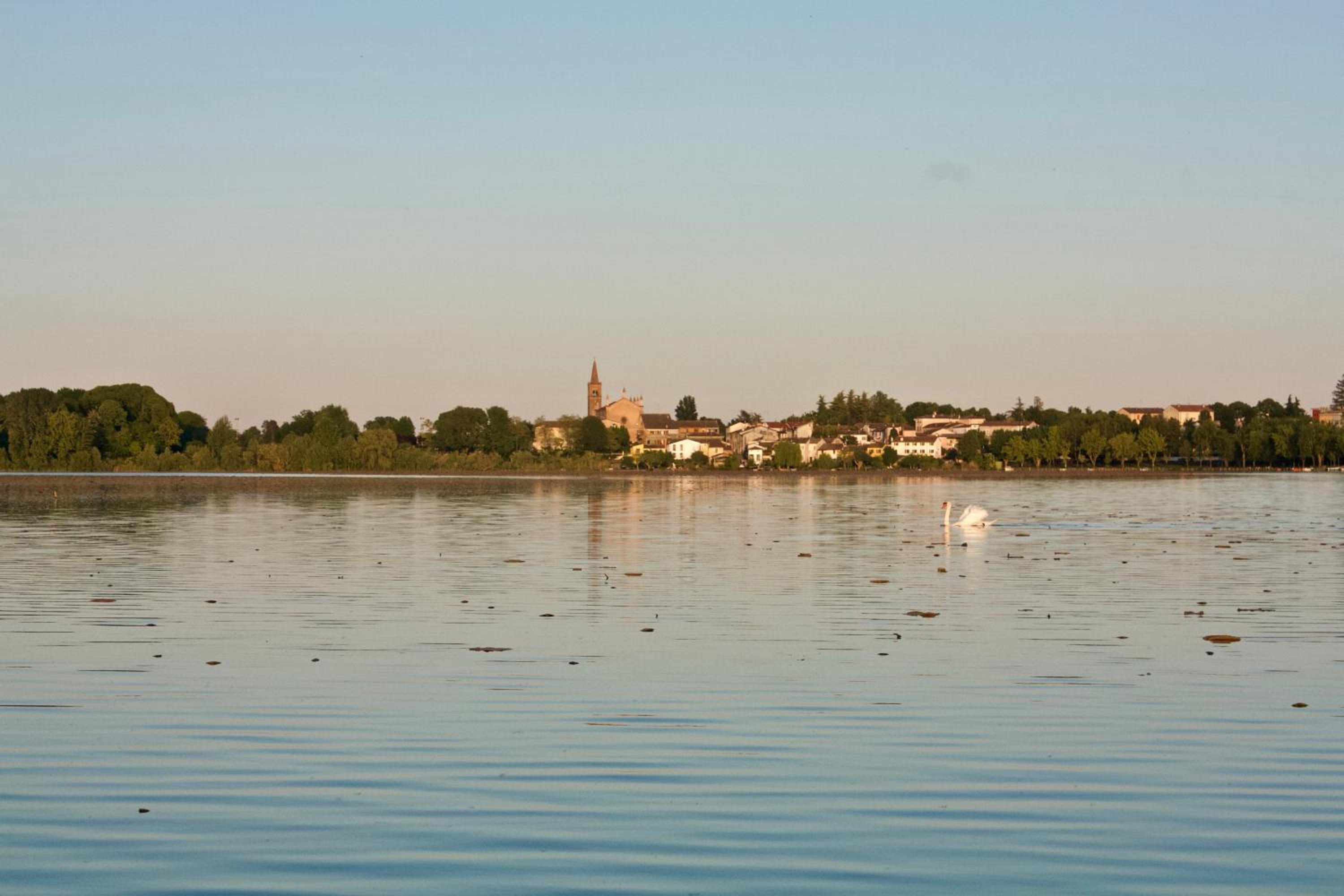 Photo 33