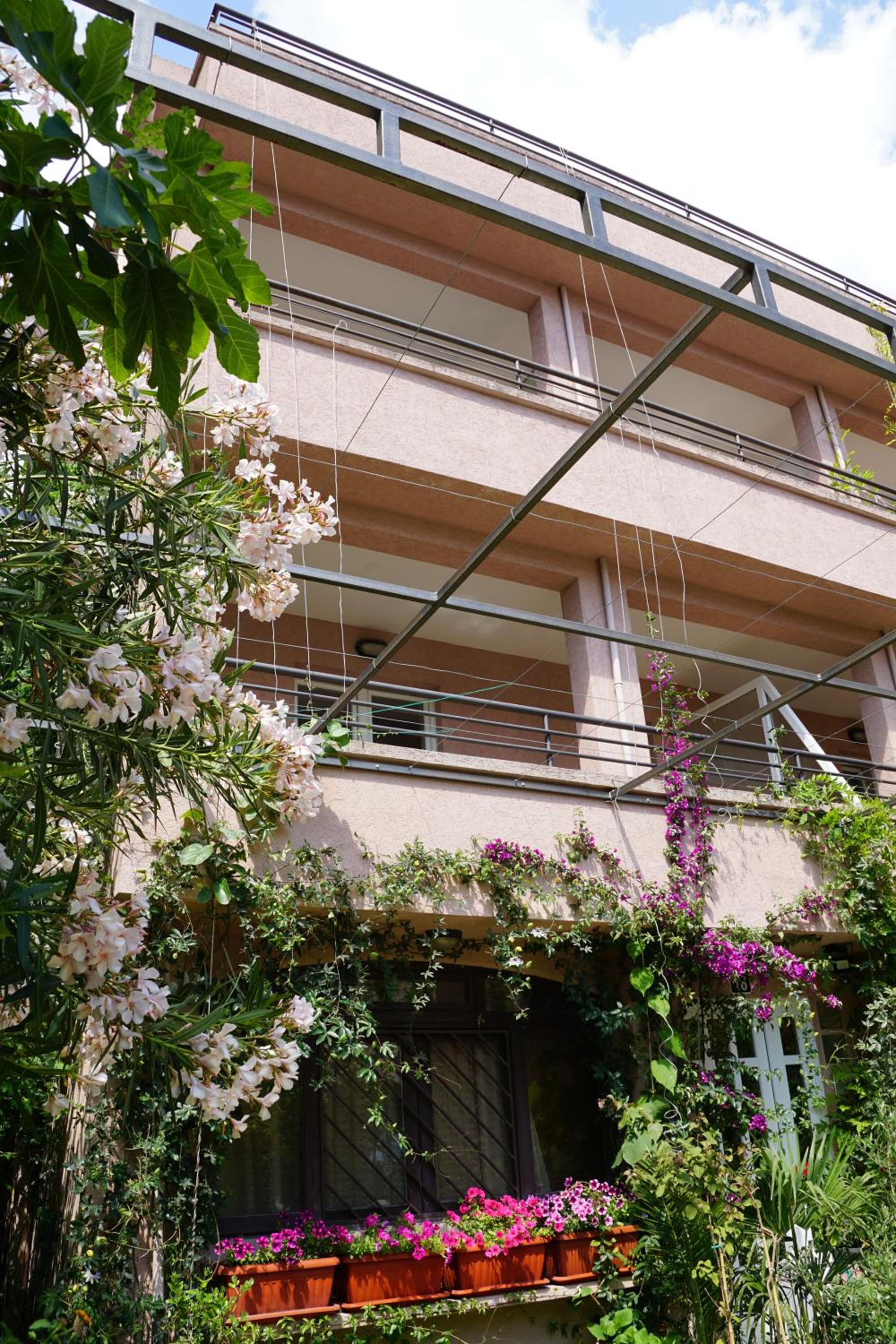 Apartments Stanivukovic photo 5