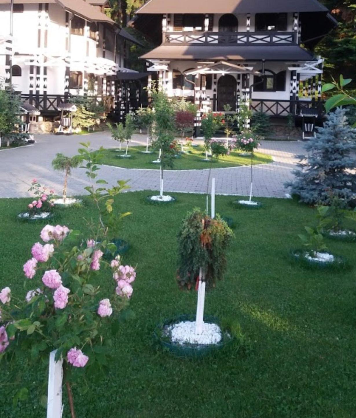 Complex Lions Bucovina view 4