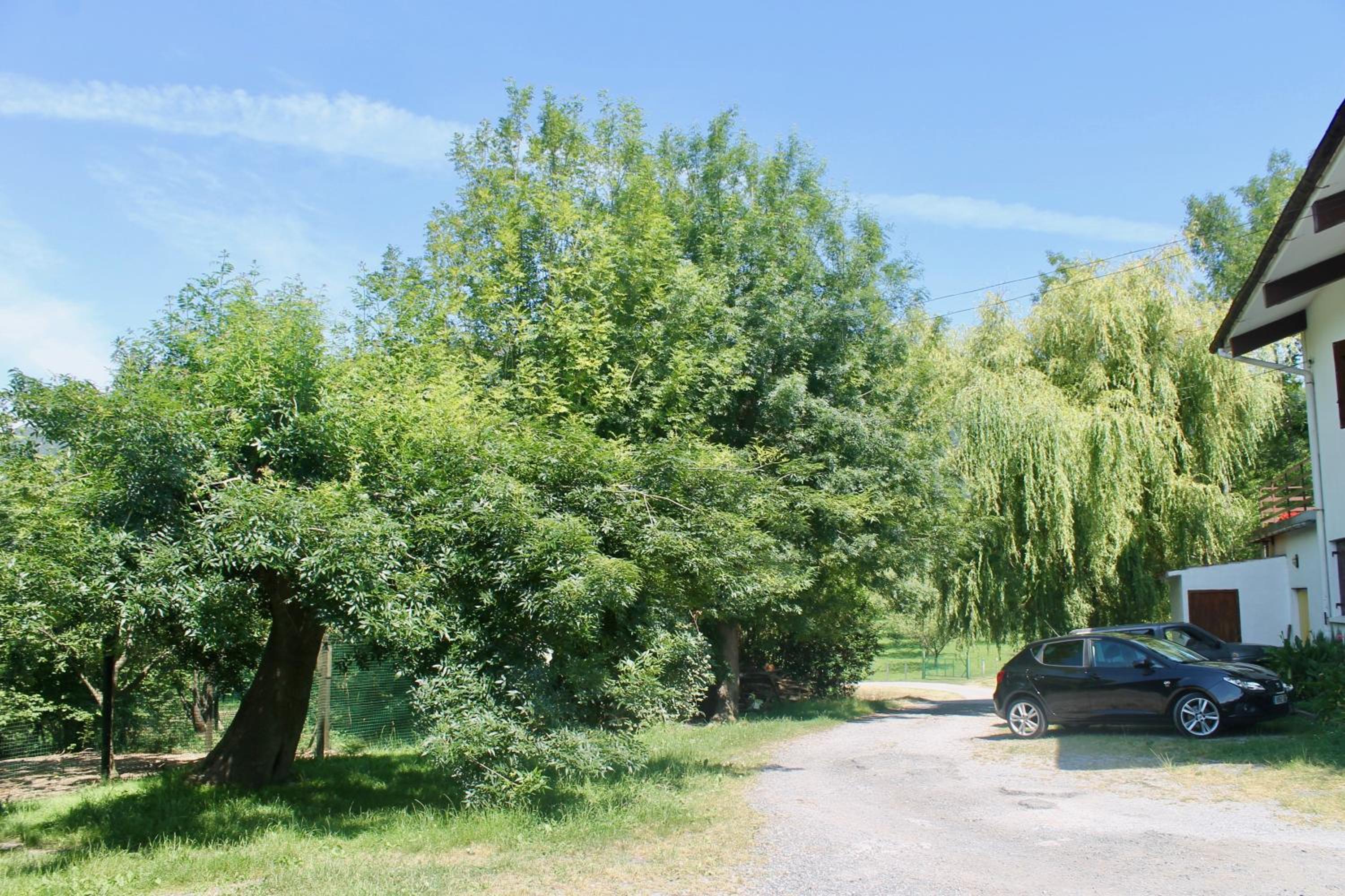 Caserio en Zona Rural Istilla