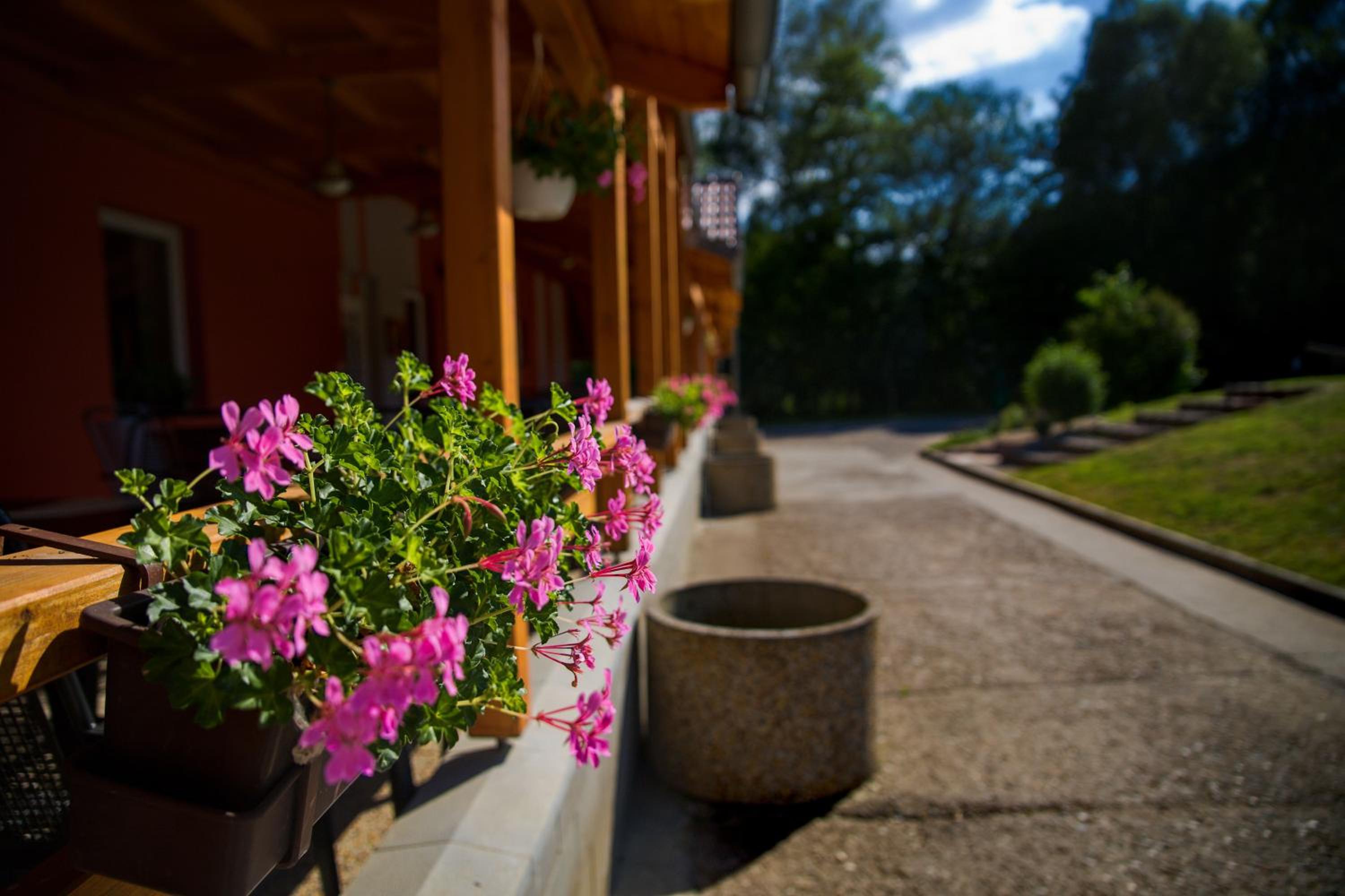 Penzion Amfík Bukovina