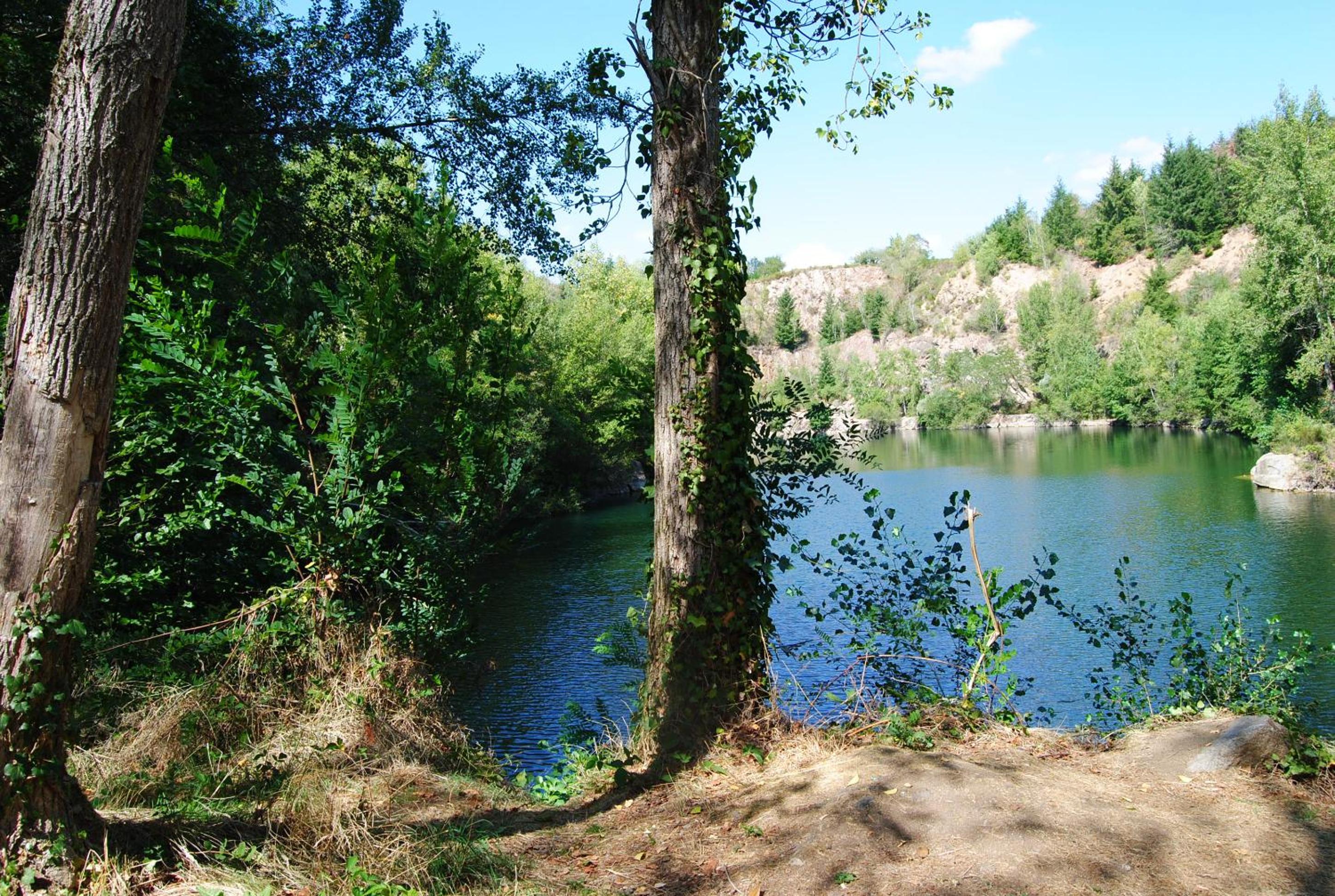 Photo 43