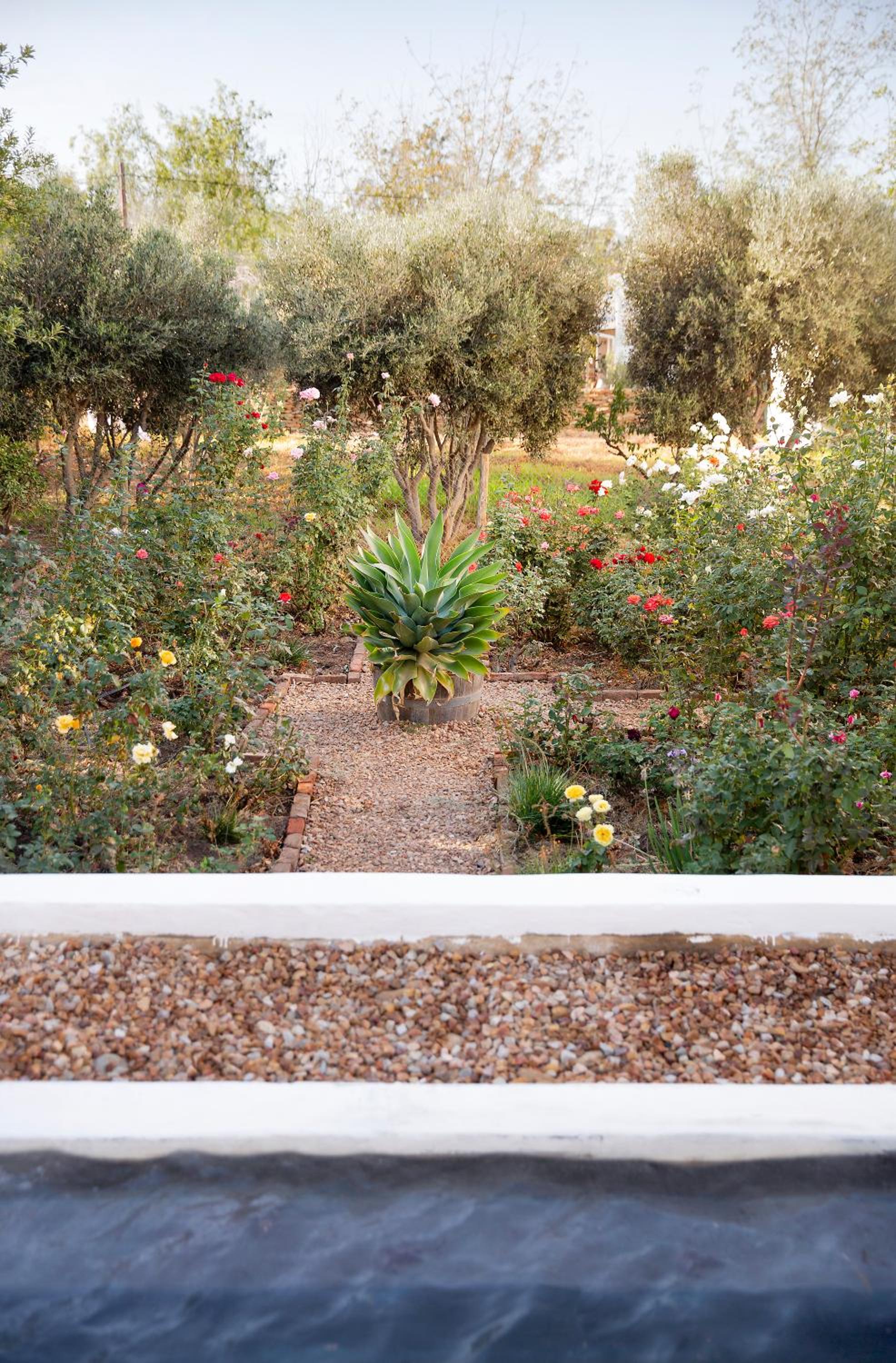 The Grand Marigold view 2