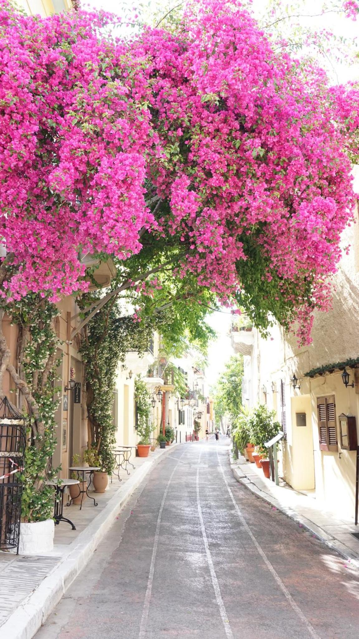 Athenian House in Plaka Villa by Athenian Homes