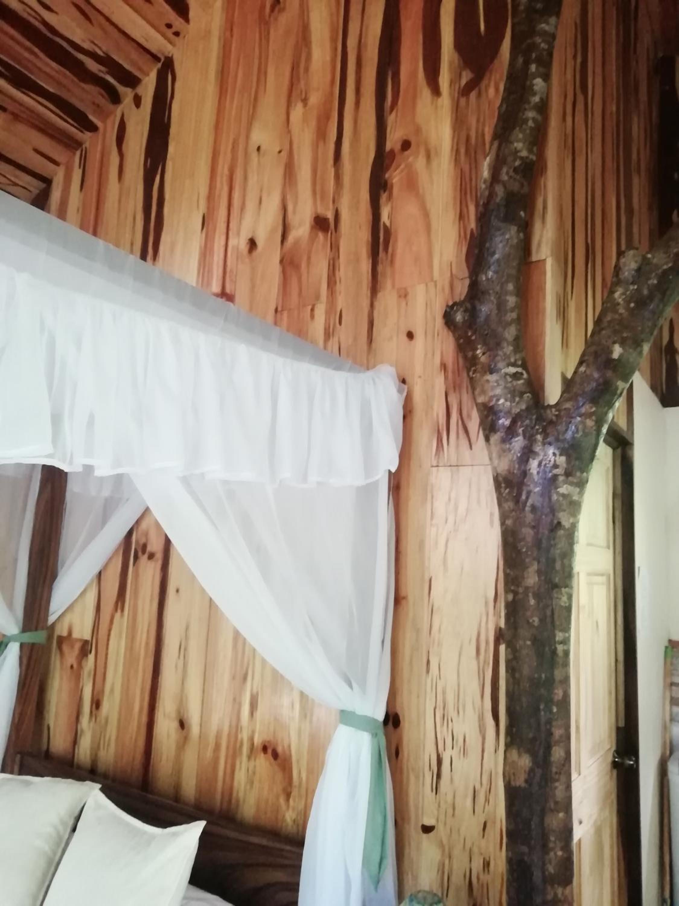 Monteverde Romantic Cabañas 5minutes mtv park