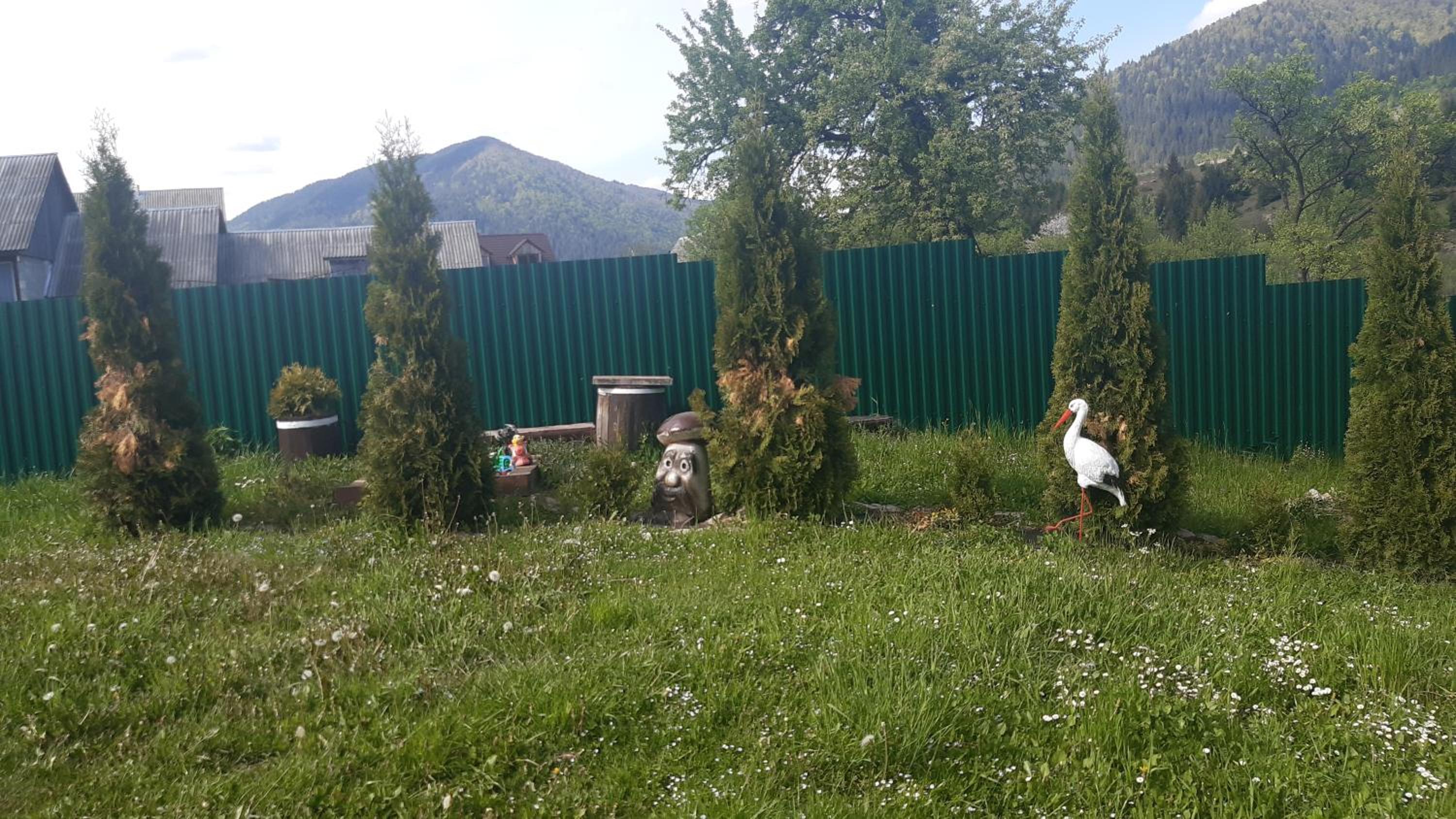 Photo 43