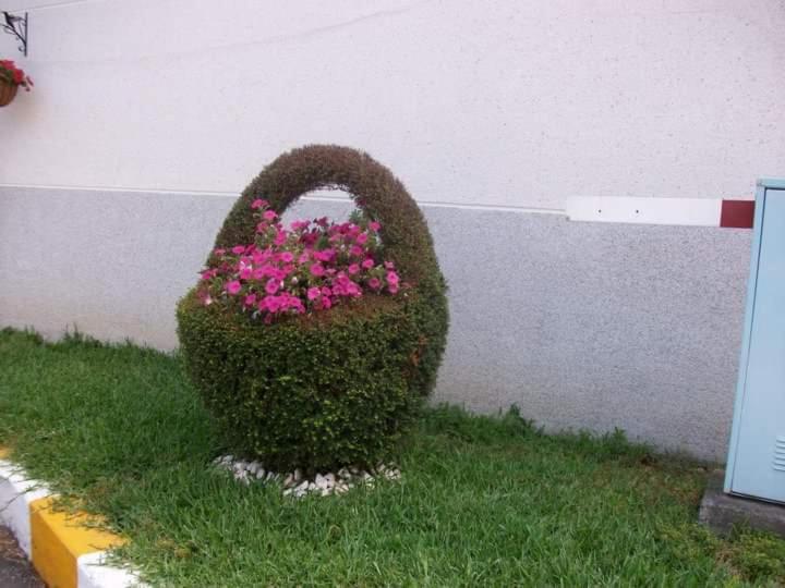 Photo 53