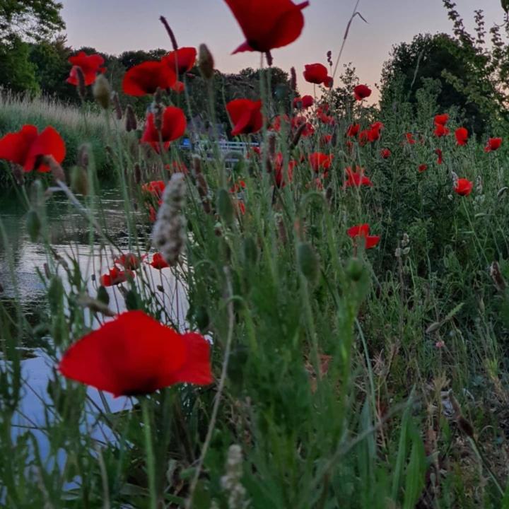 De Vliegende Vlinder, photo 57