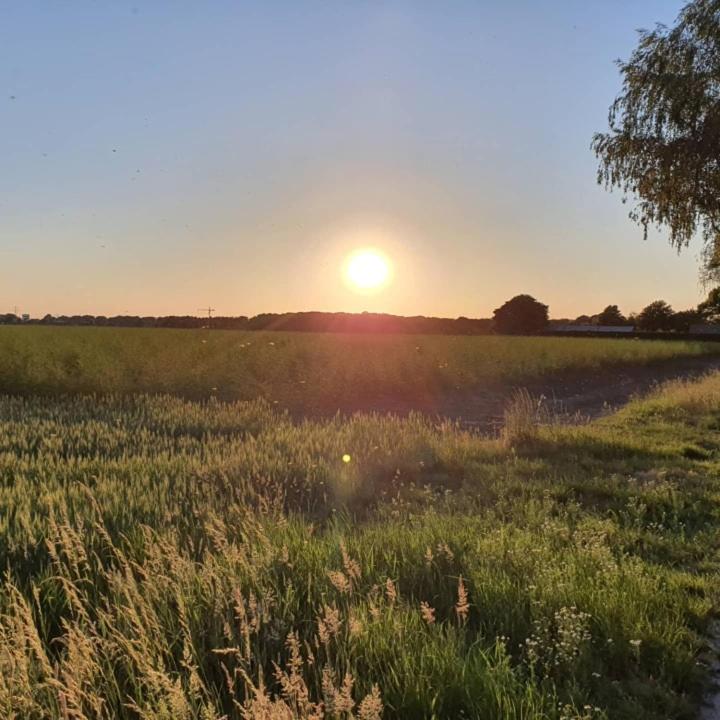 De Vliegende Vlinder, photo 9