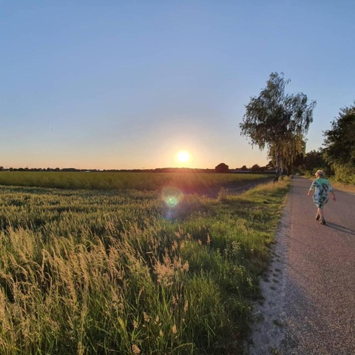 De Vliegende Vlinder, photo 21