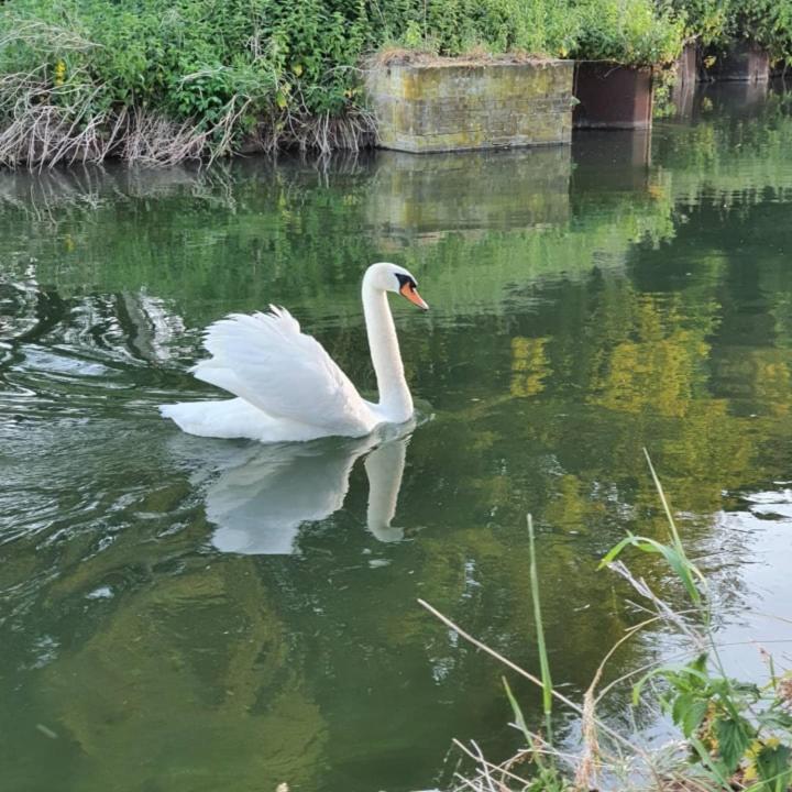 De Vliegende Vlinder, photo 35