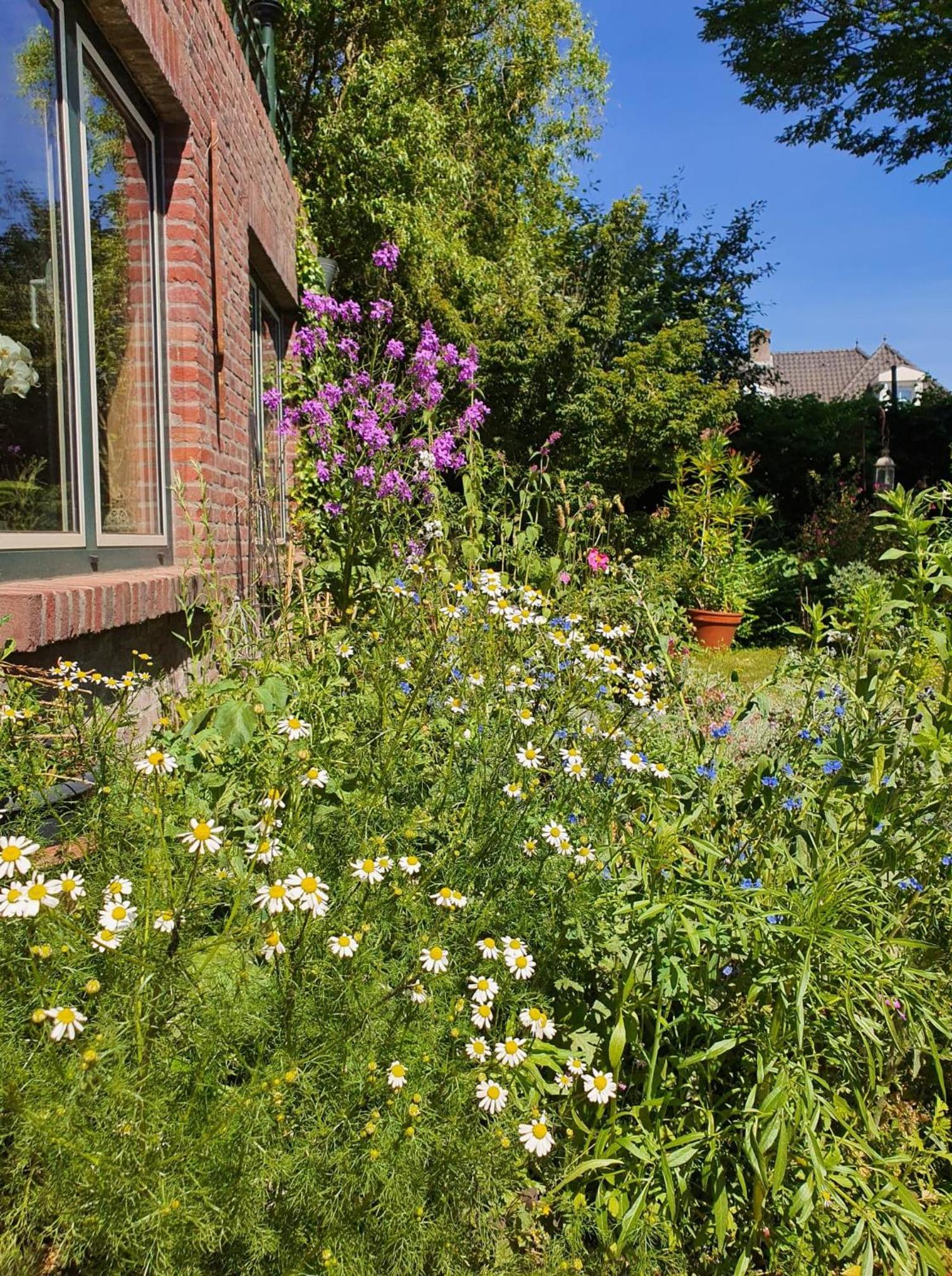 De Vliegende Vlinder, photo 27