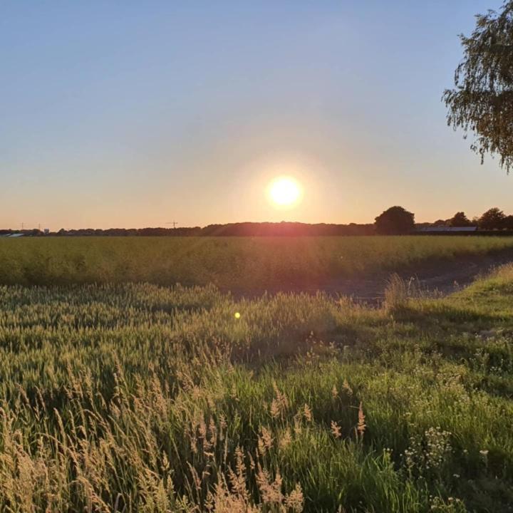 De Vliegende Vlinder, photo 51