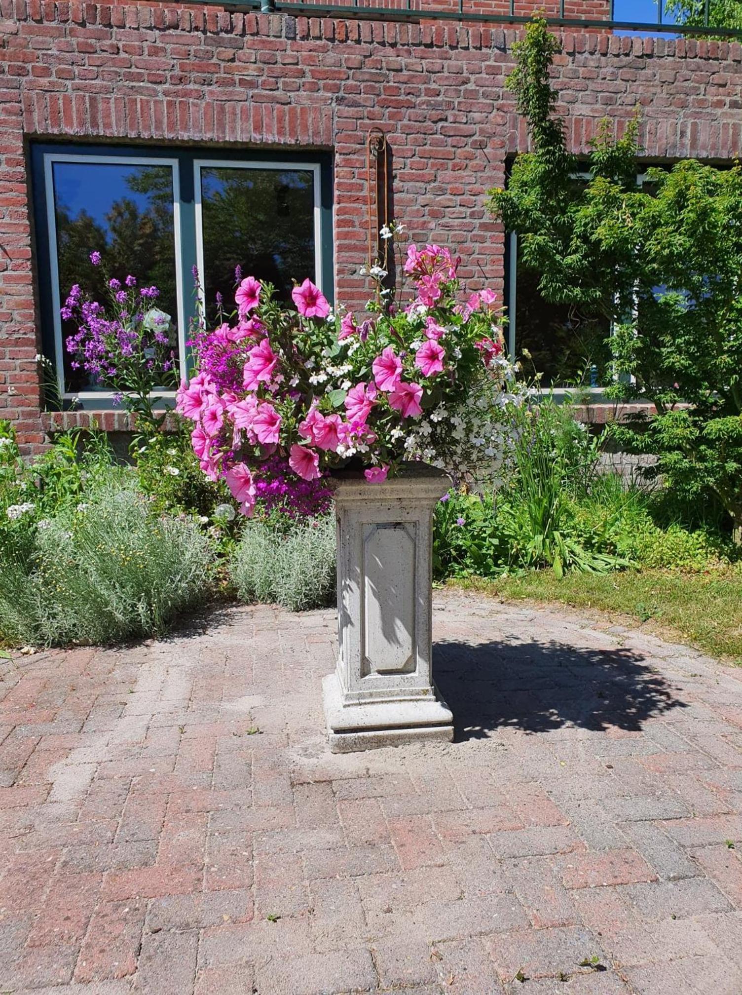 De Vliegende Vlinder, photo 13