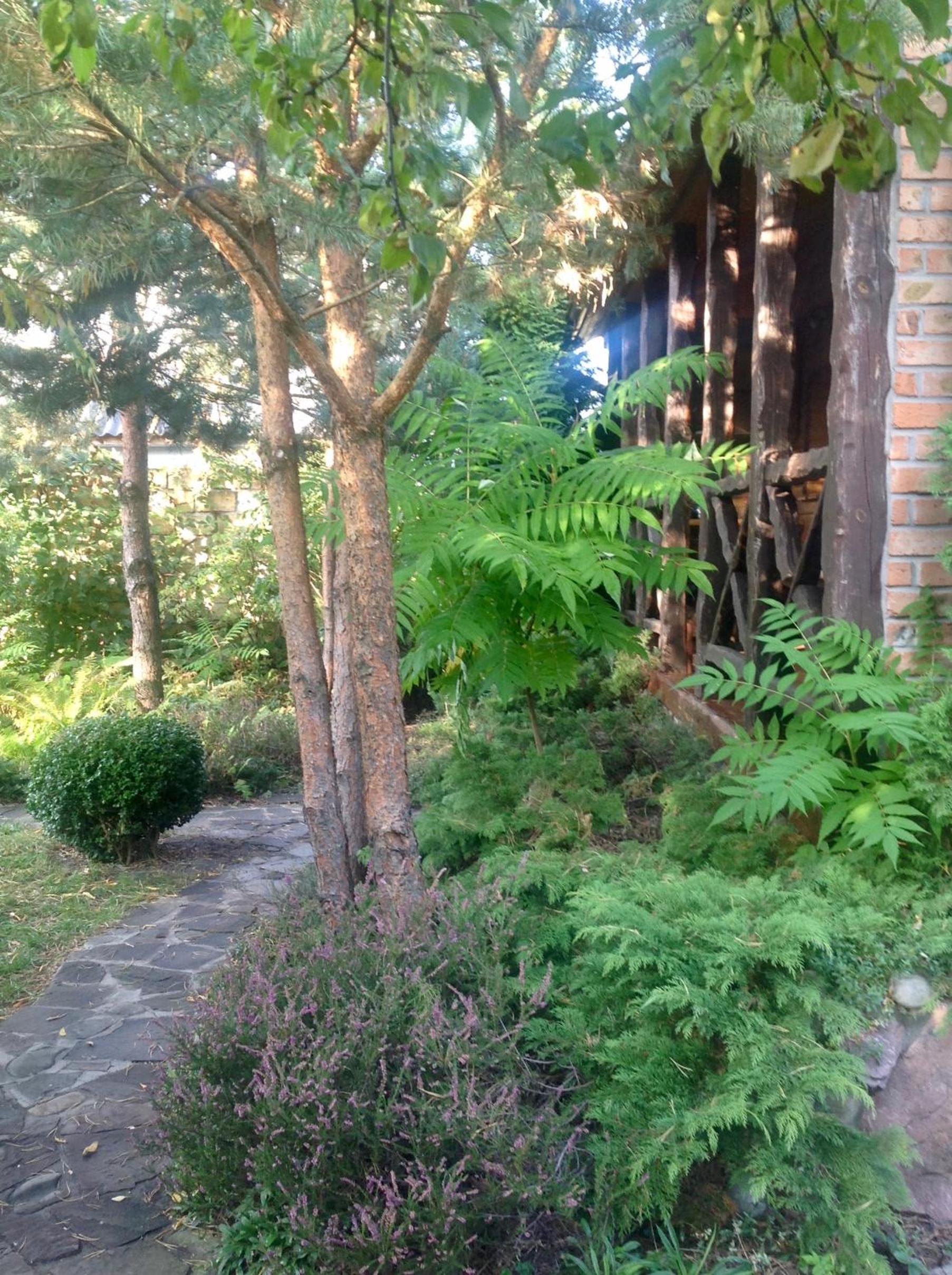 Photo 36