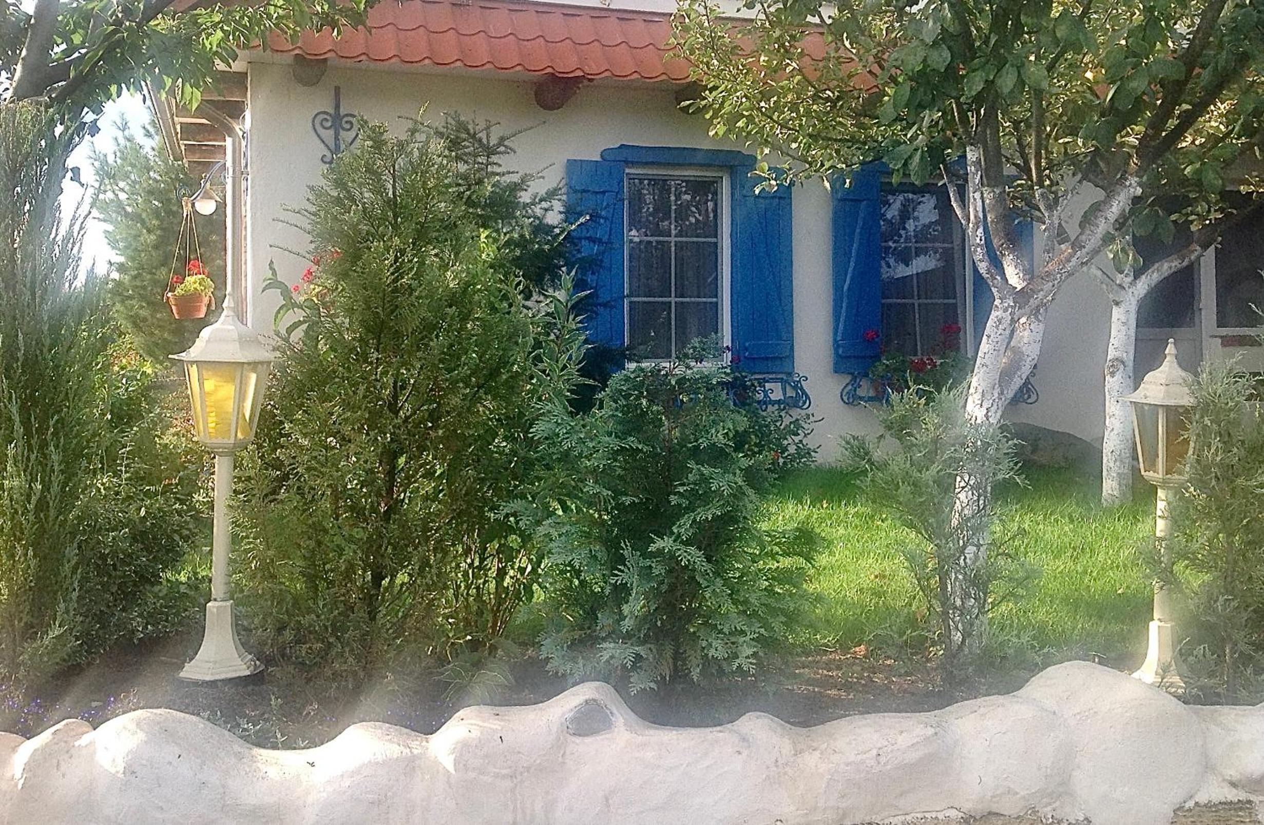 Photo 60