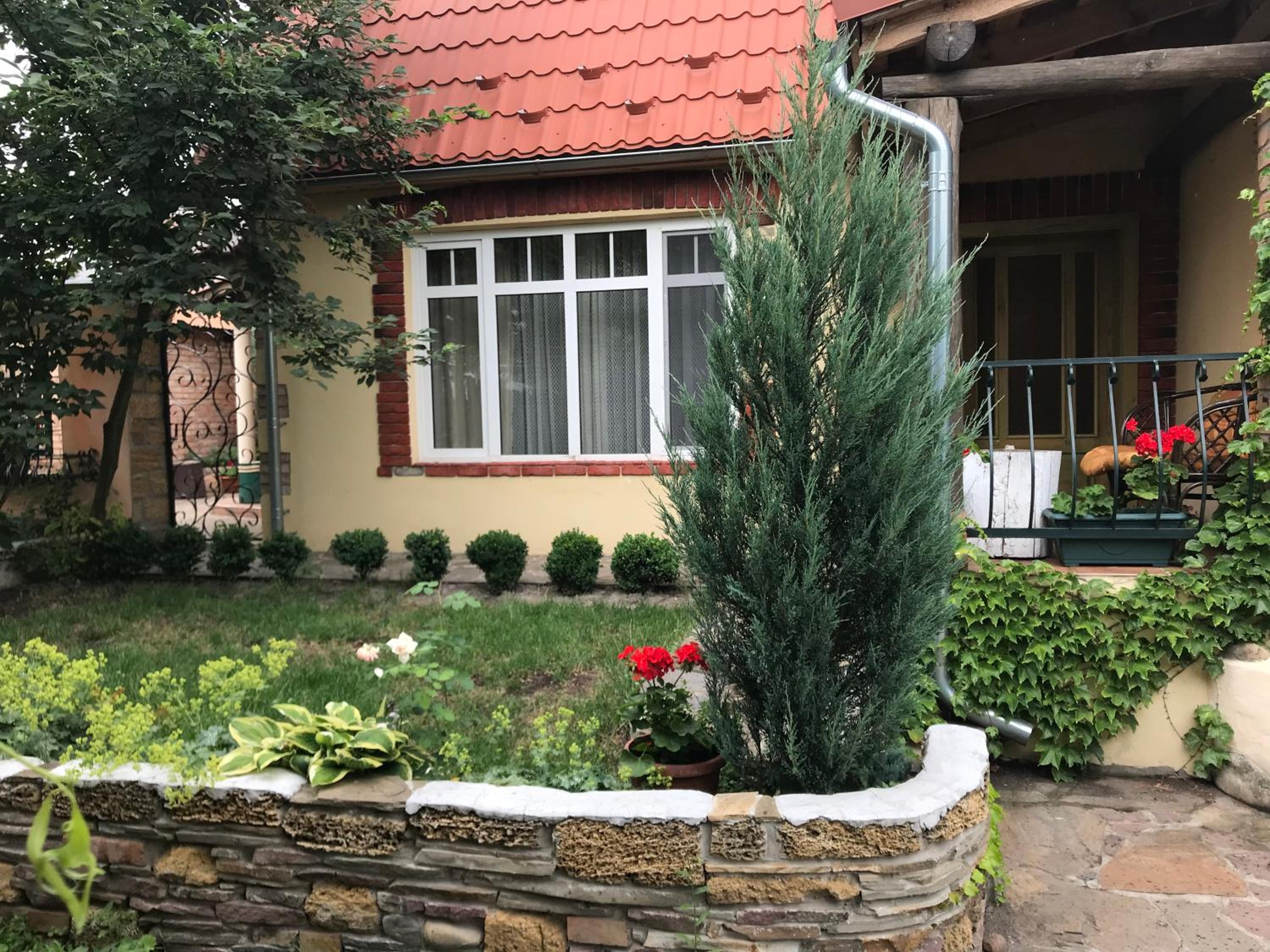 Photo 17