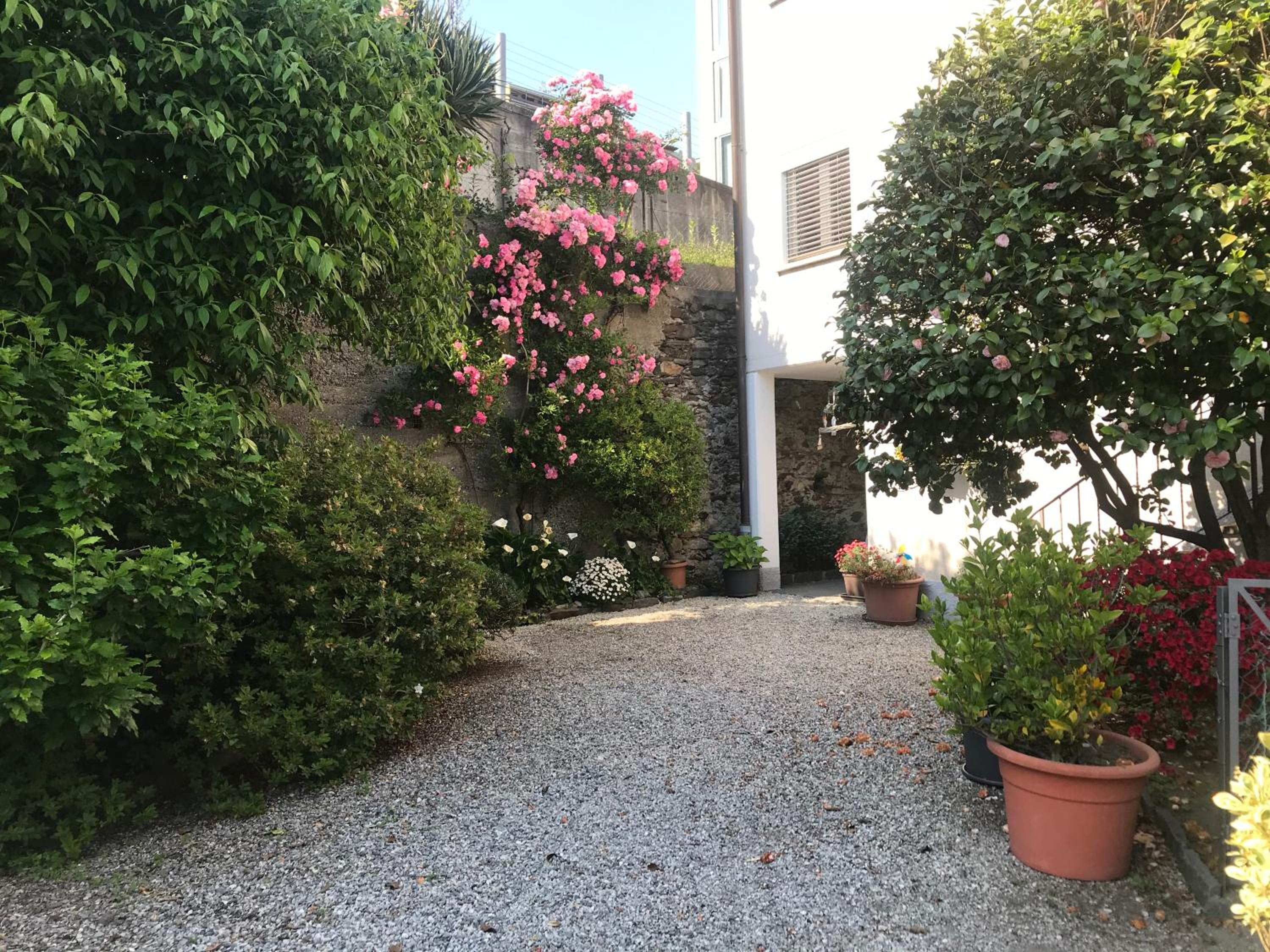 Photo 42