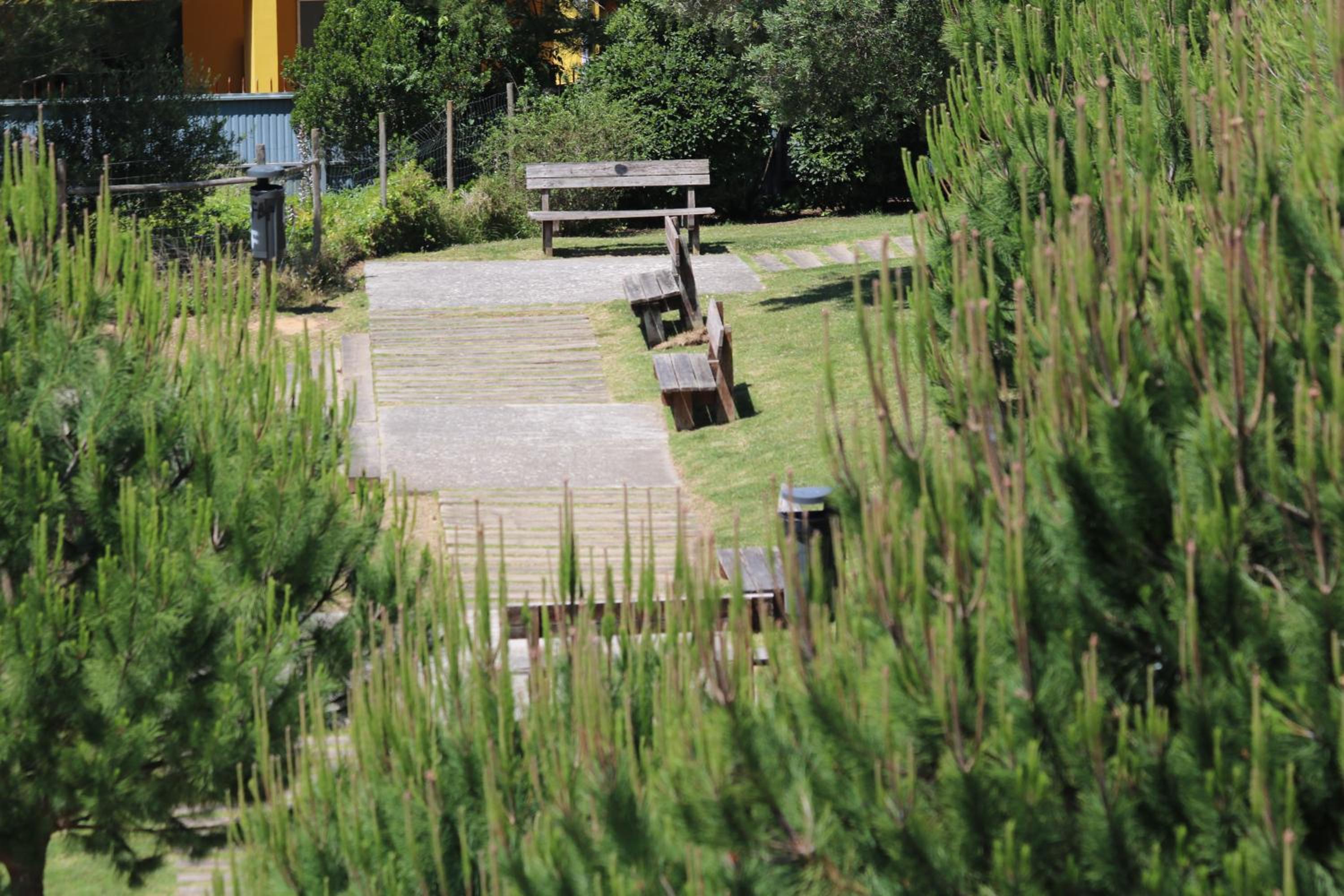 Photo 42