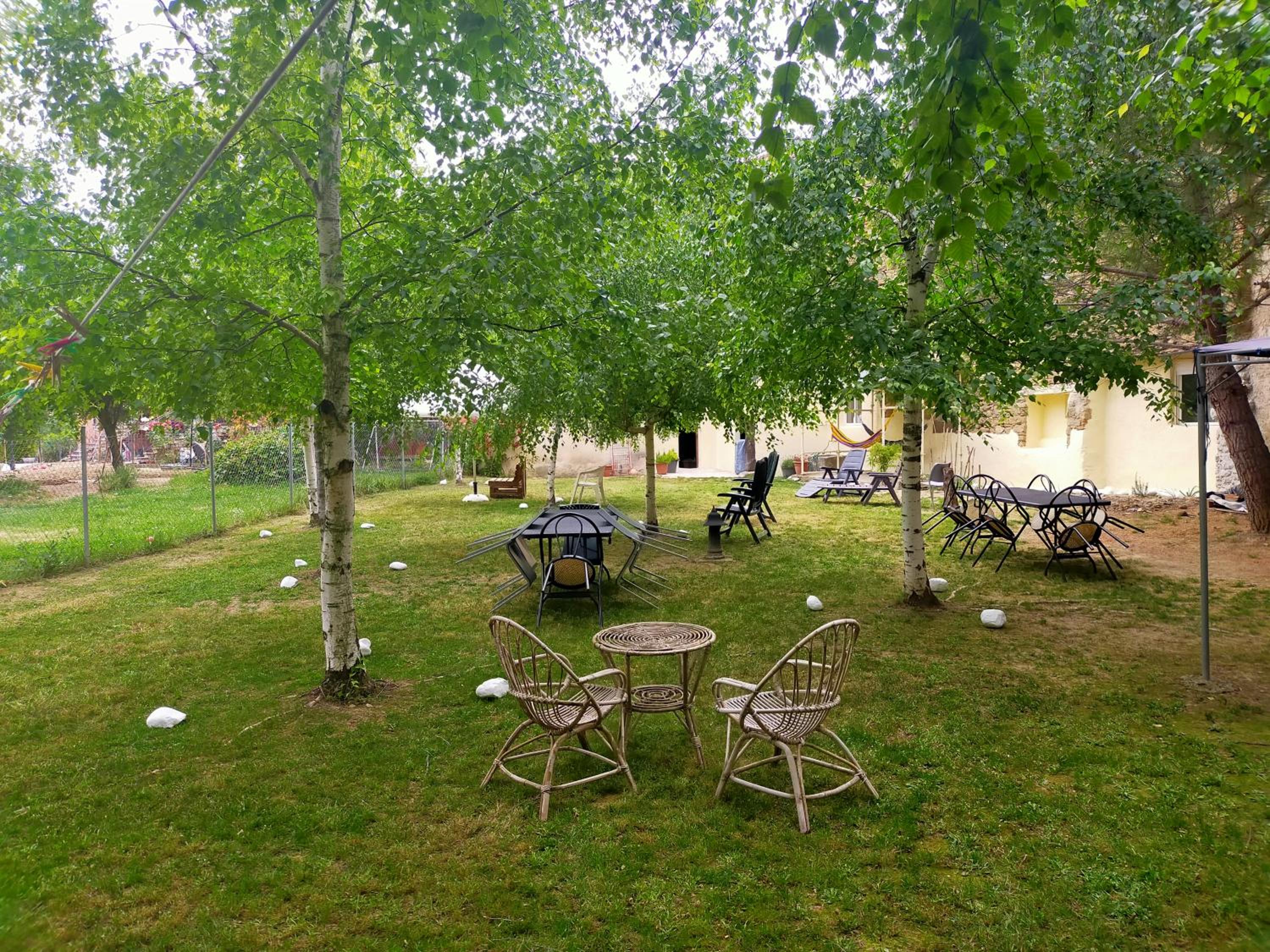 Photo 15
