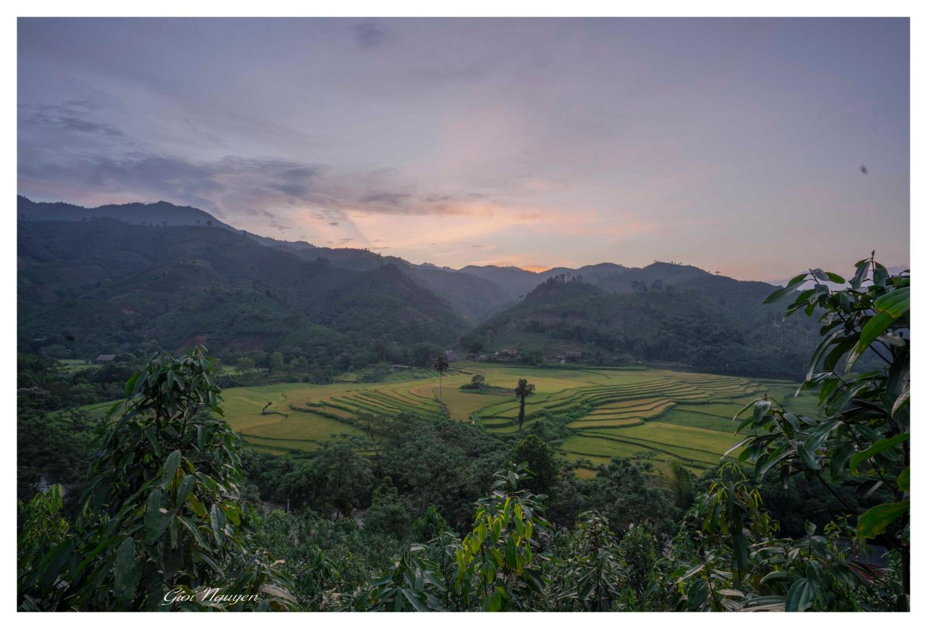 Cinnamon Eco Lodge view 3