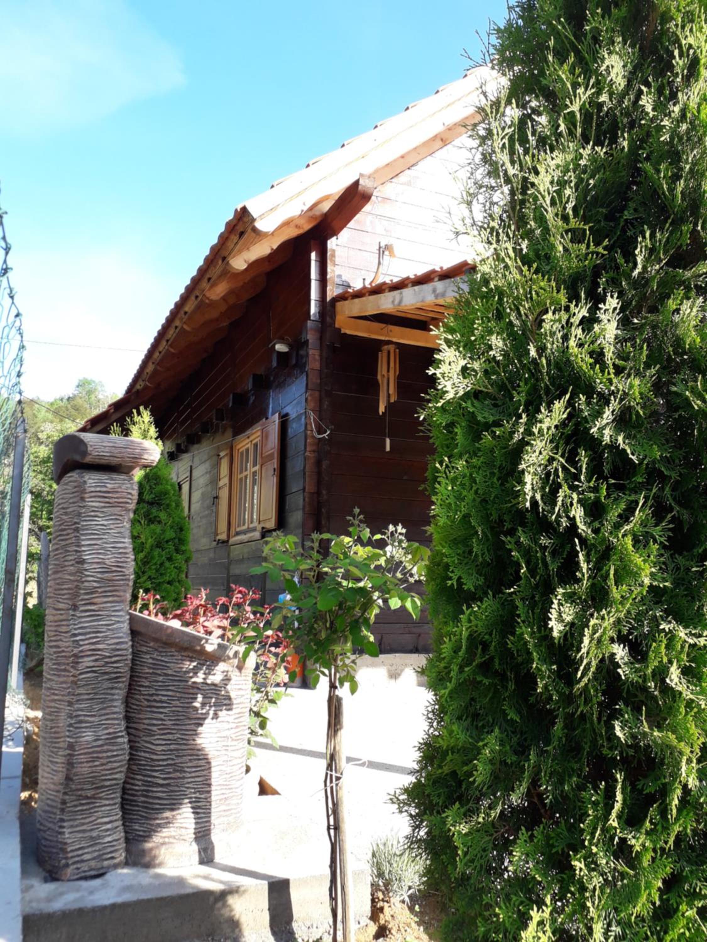 Stara Planina Stankovic view 3