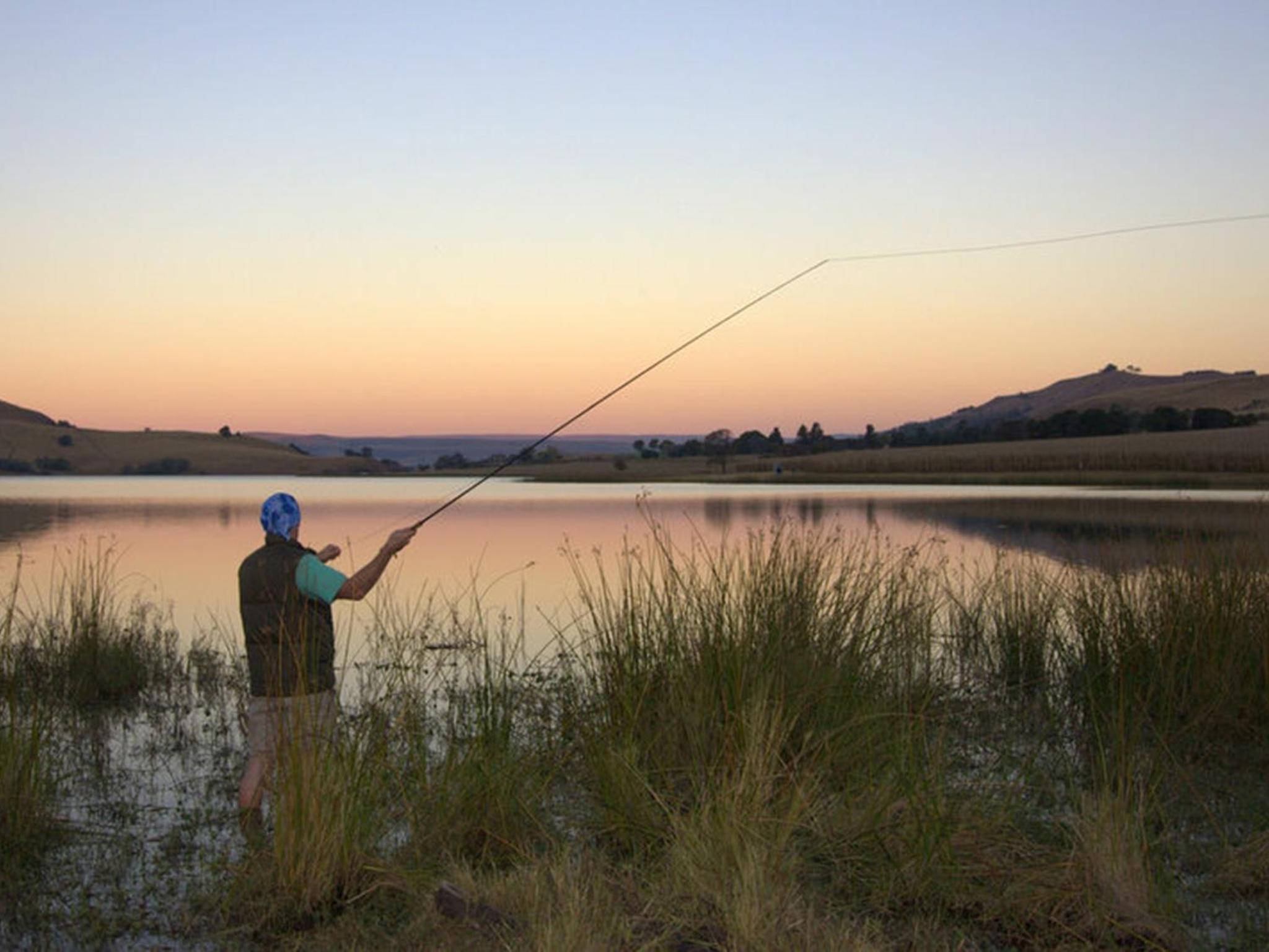 Cayley Mountain Resort