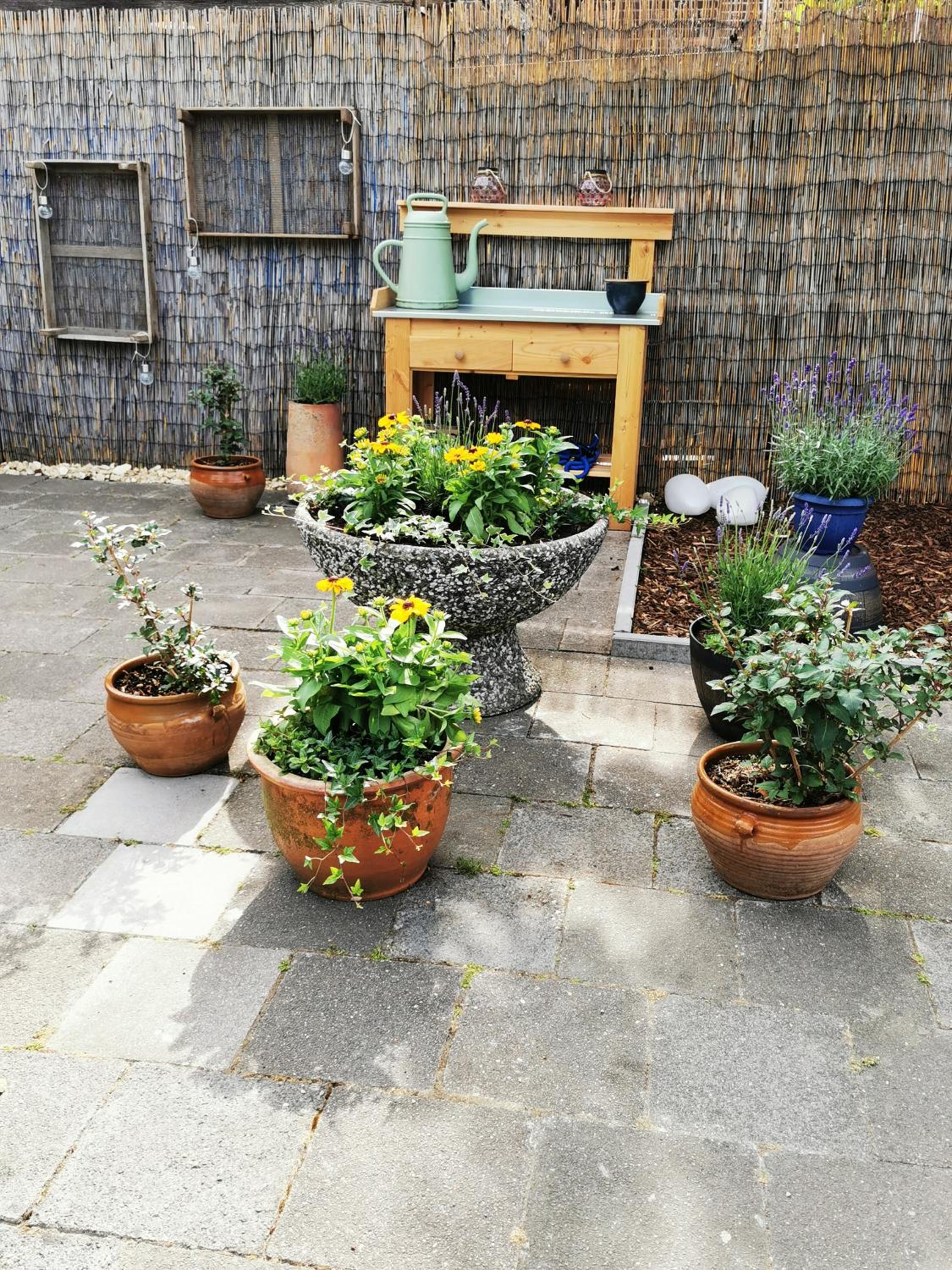 Photo 32