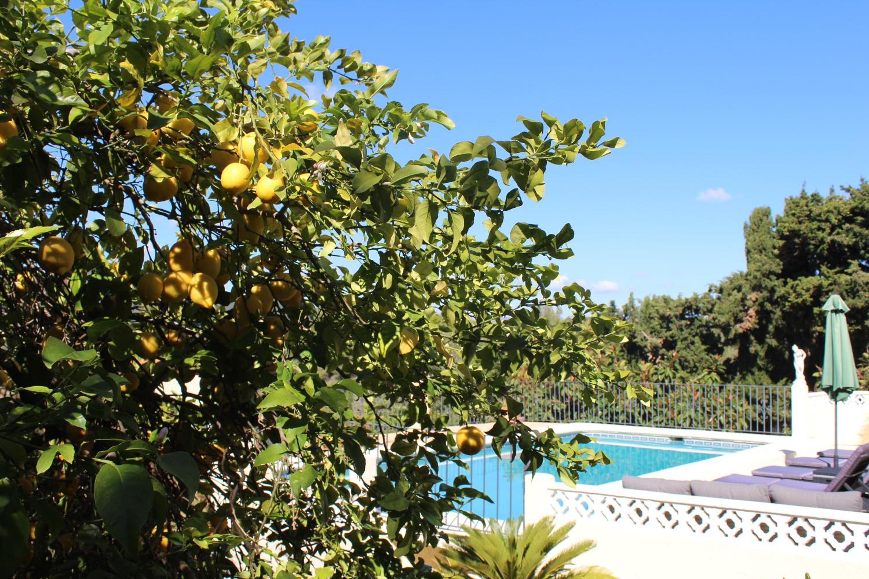 Villa Vista Soñada