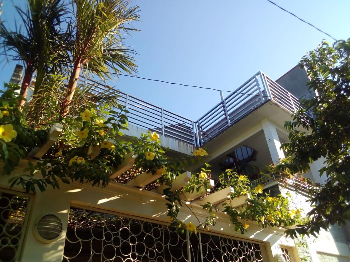Ellens Homestay view 3