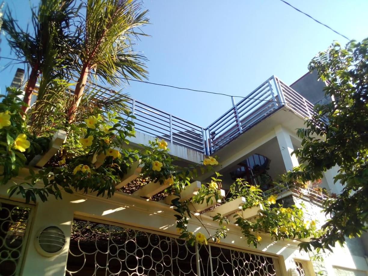 Ellens Homestay view 2