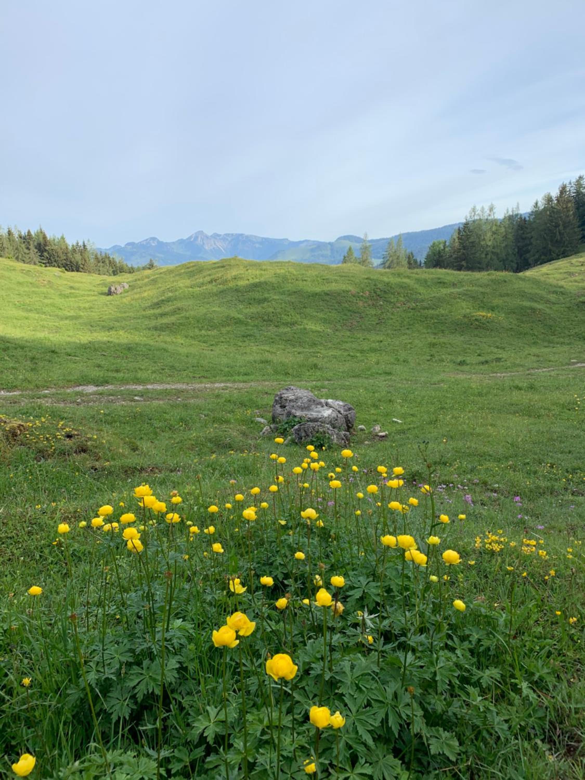 REIT IM WINKL - ValleyViewInn view 5