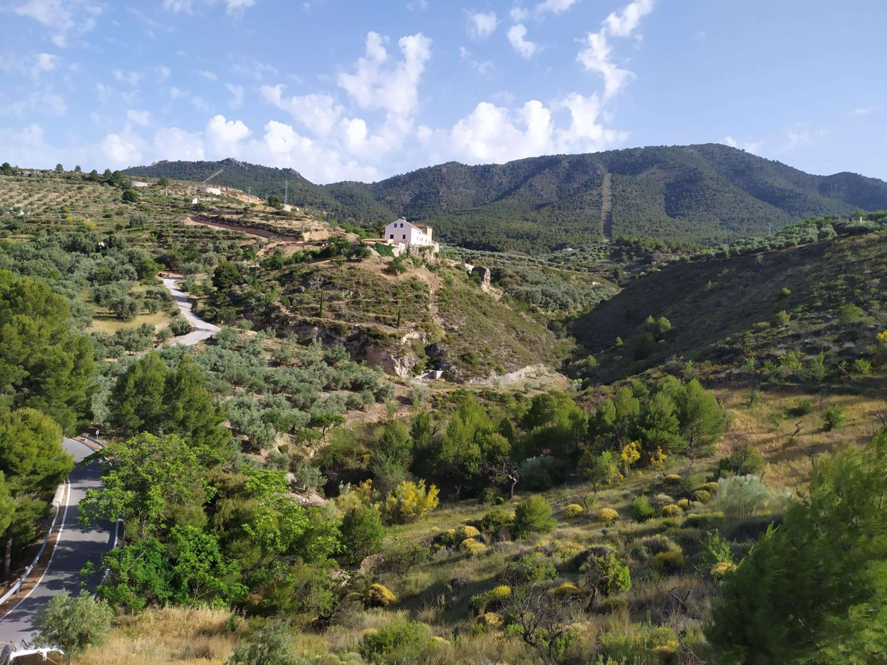 Photo 19