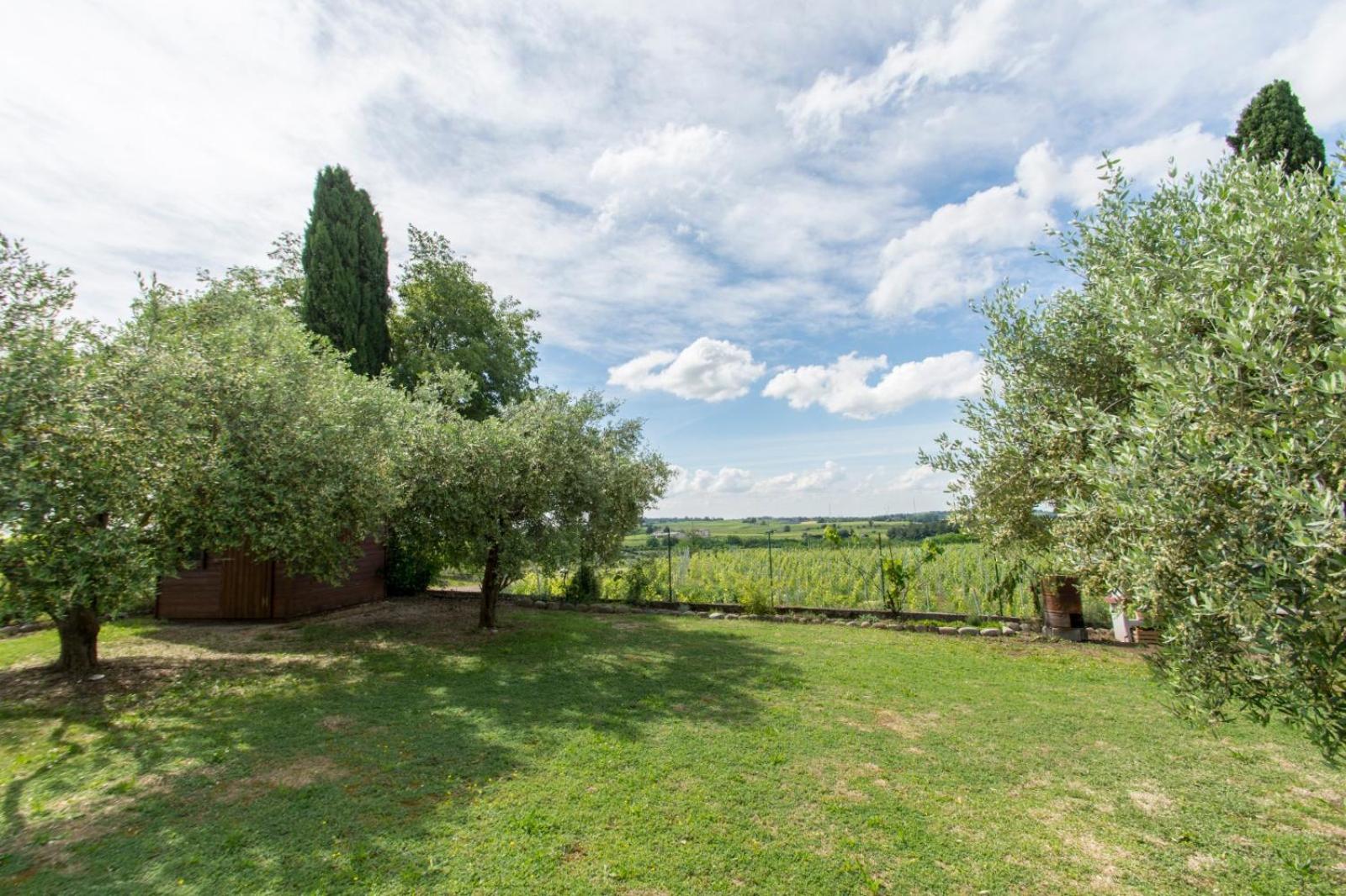 Tenuta EnGi, photo 93