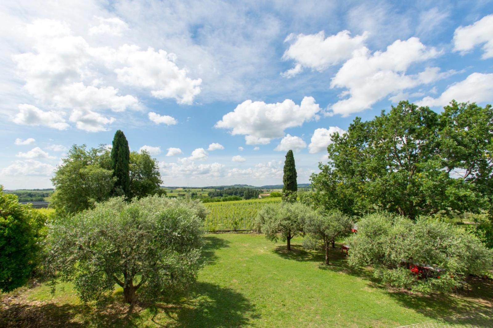 Tenuta EnGi, photo 47