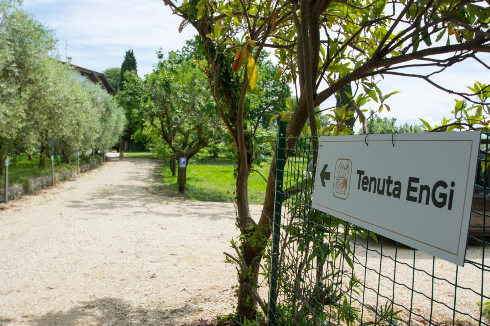 Tenuta EnGi, photo 140