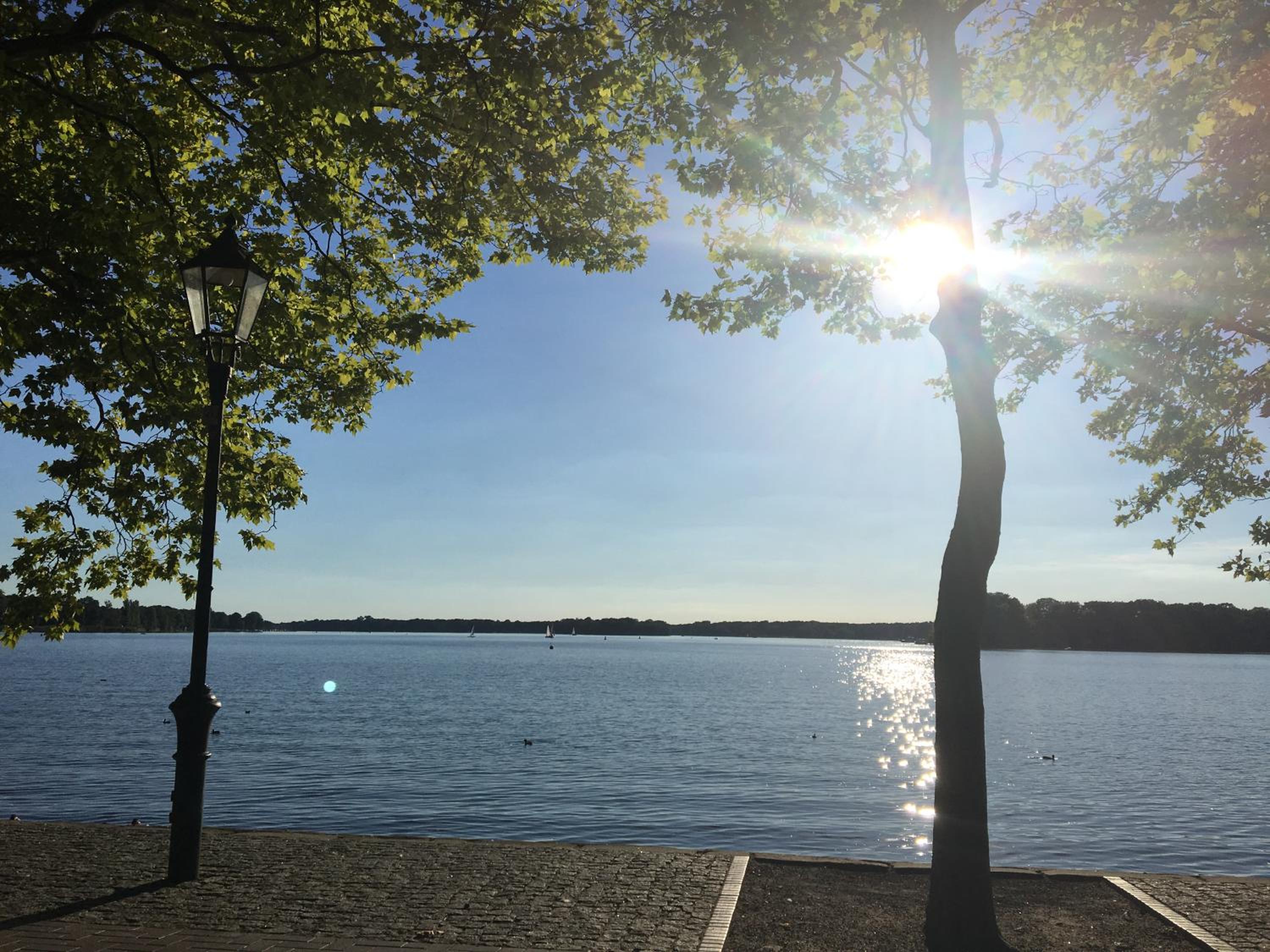 Klein App in Alt - Tegel