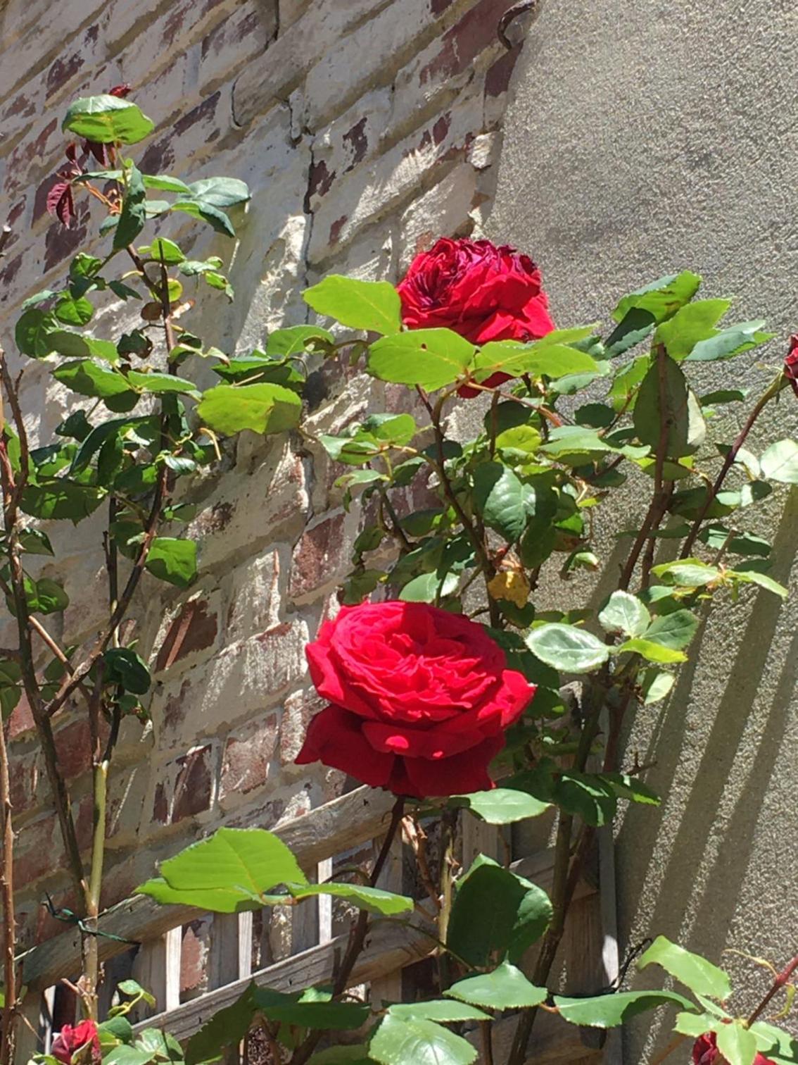 Deauville Vacations - Le Mascaret - Property Image 46