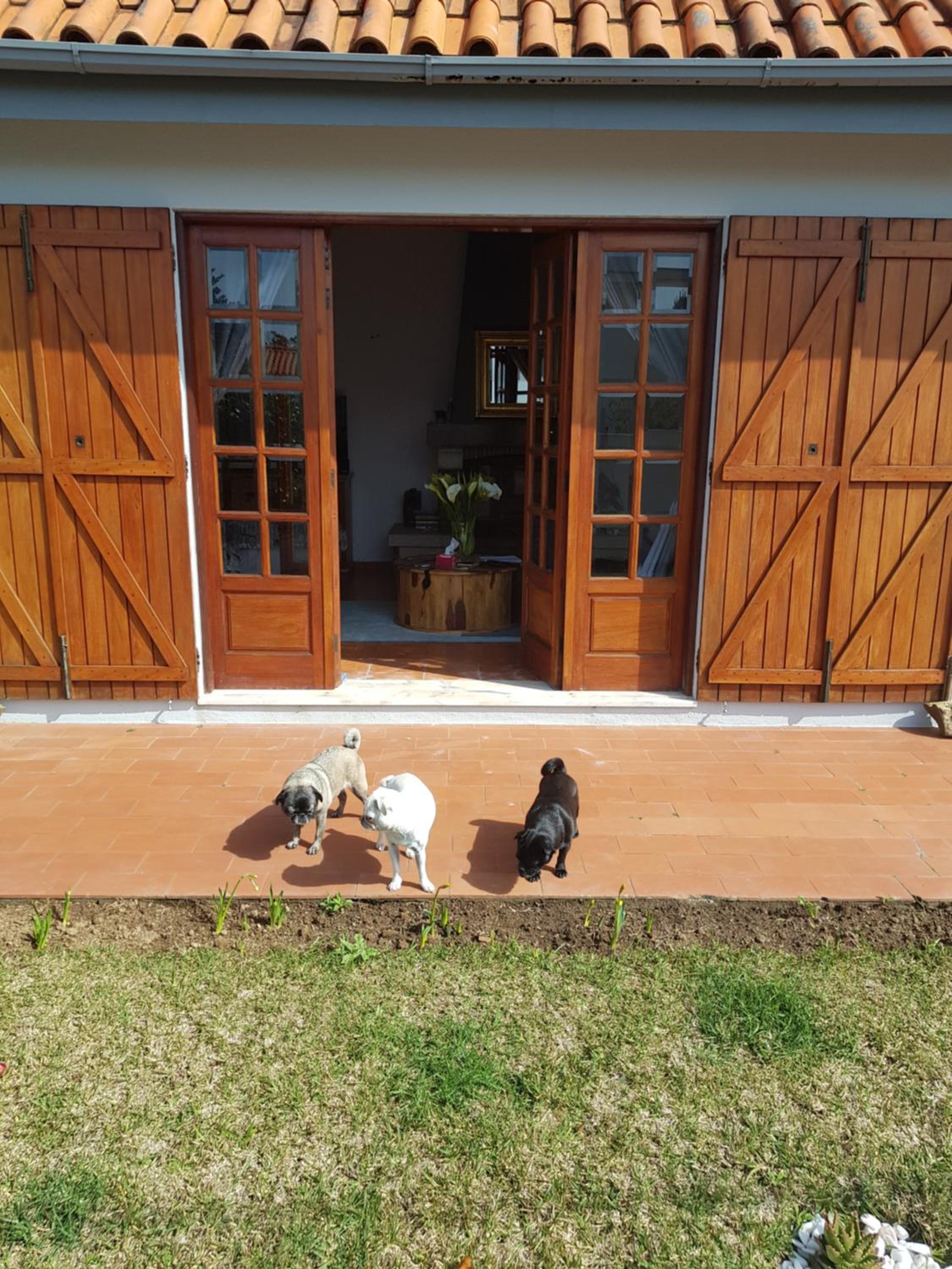 Beachwalk guesthouse