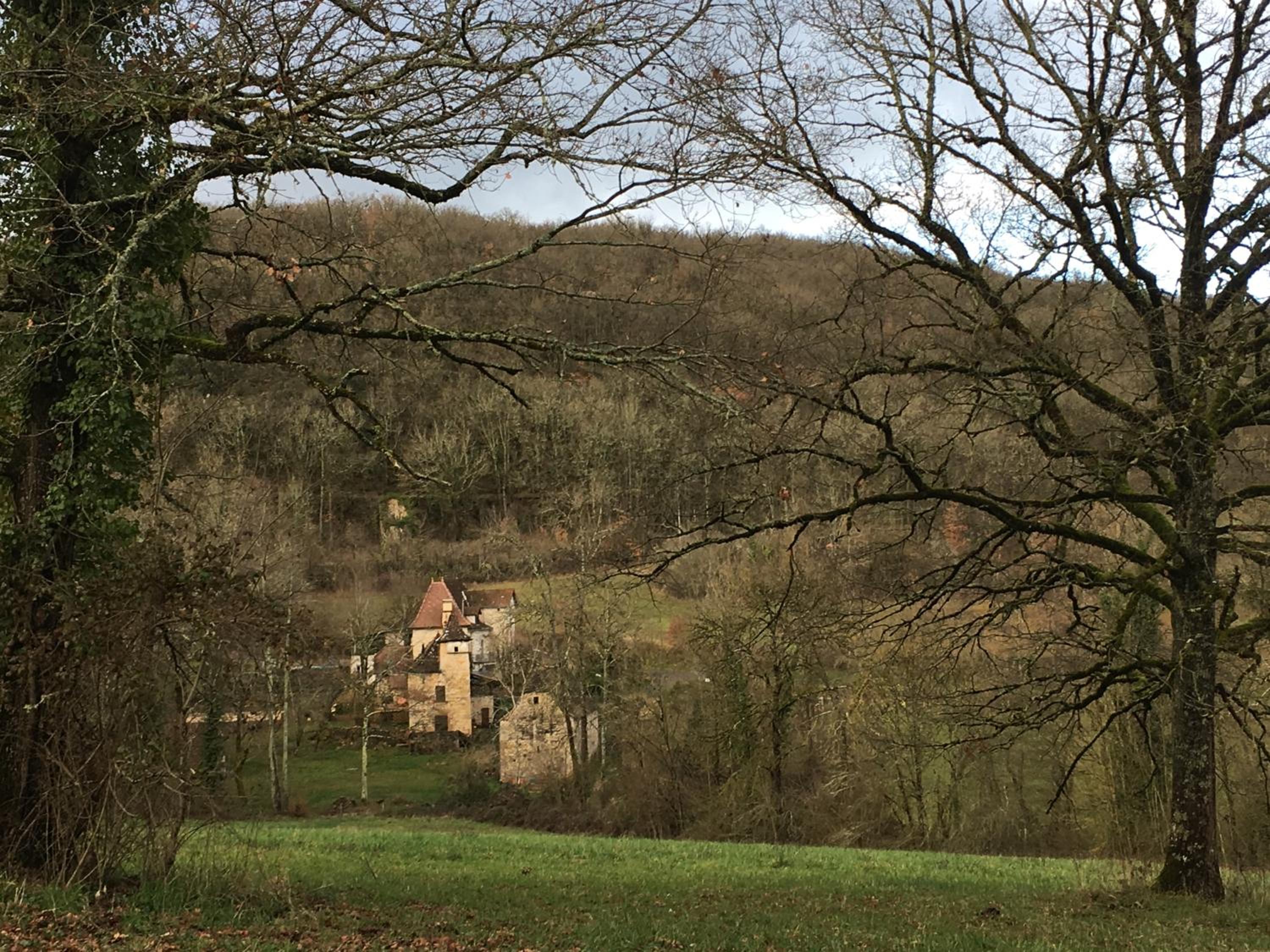 Photo 16