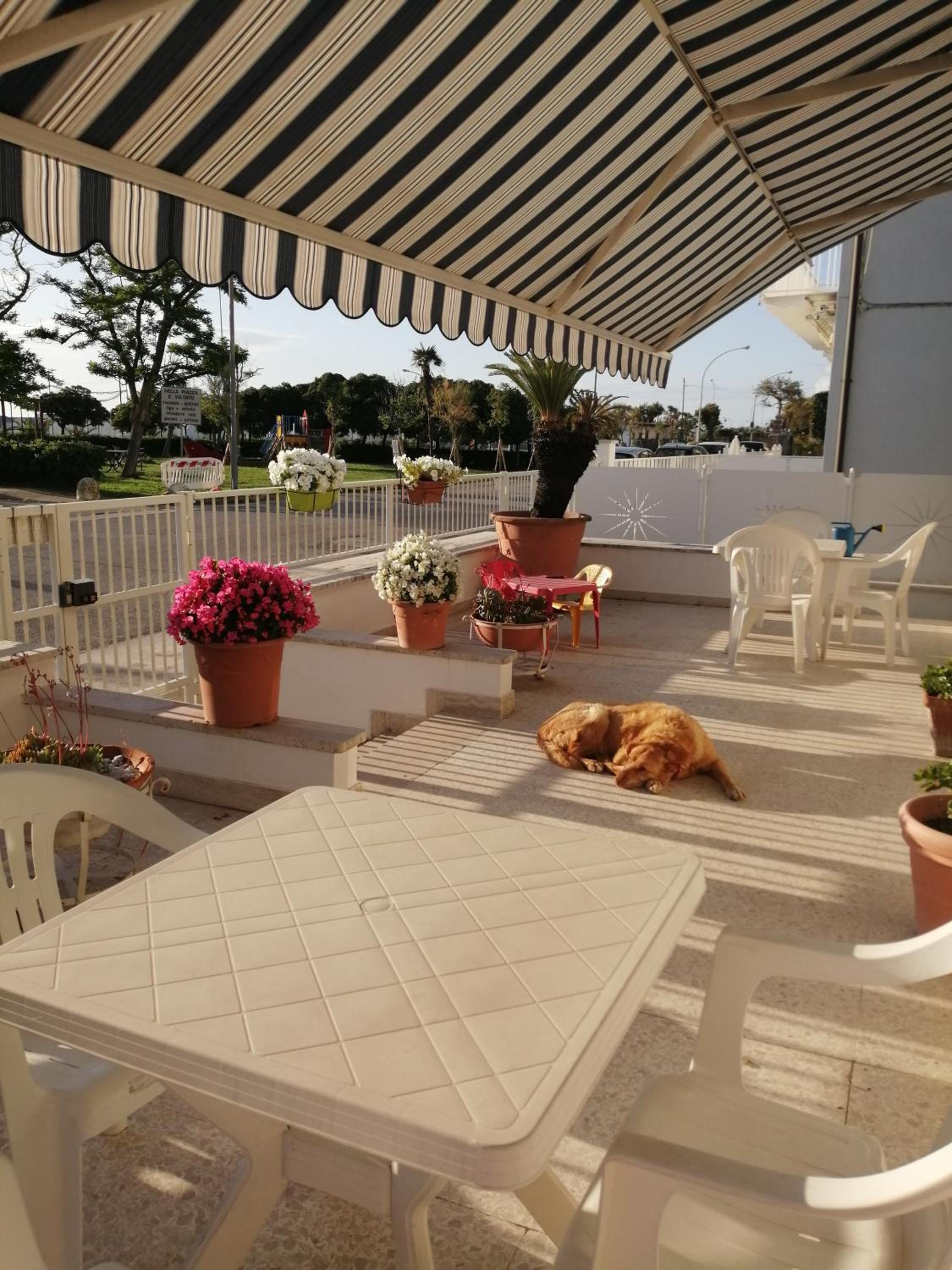 B&B GALLETTO view 3