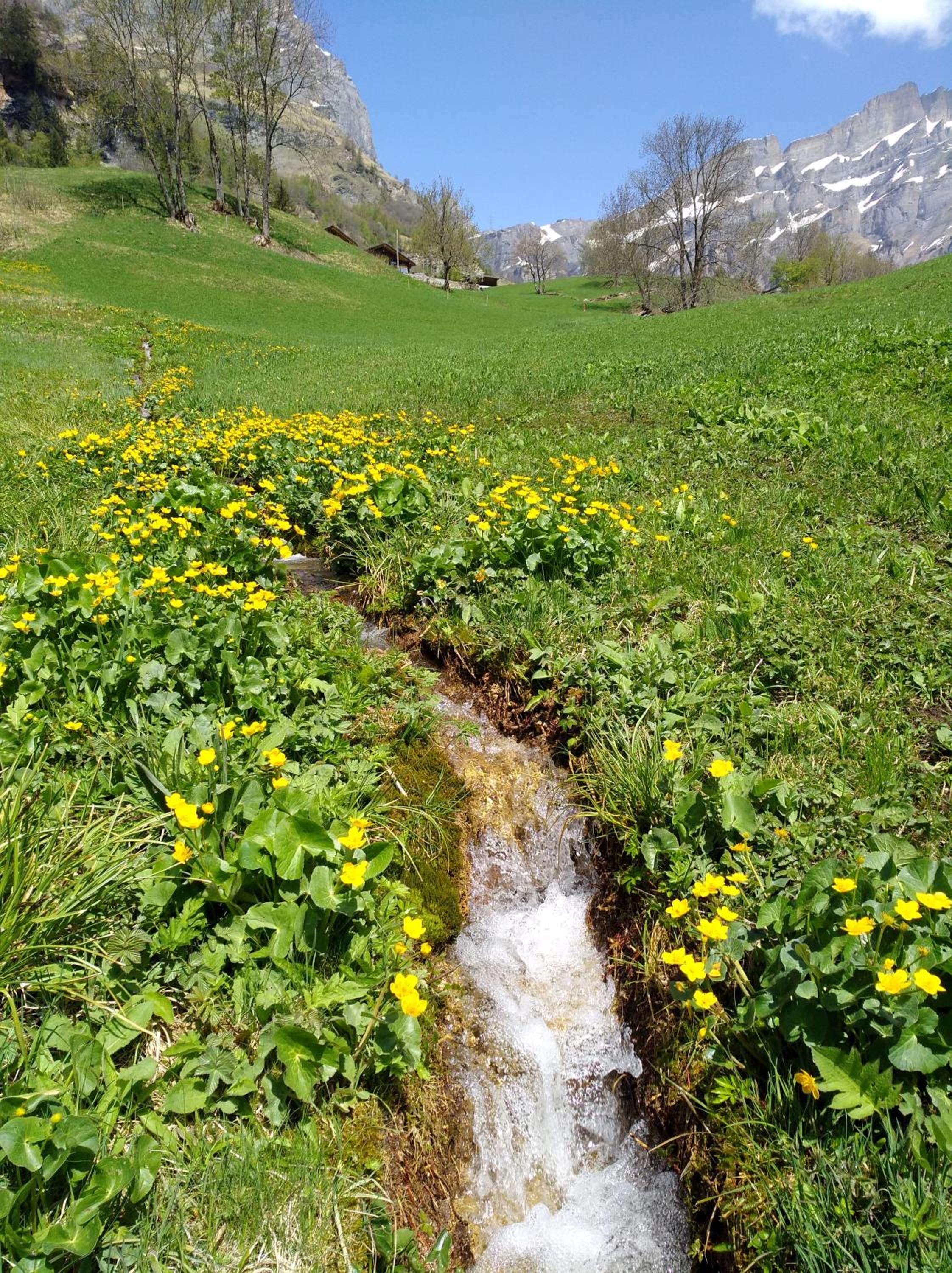 B&B Chalet Rustica Inden, Leukerbad