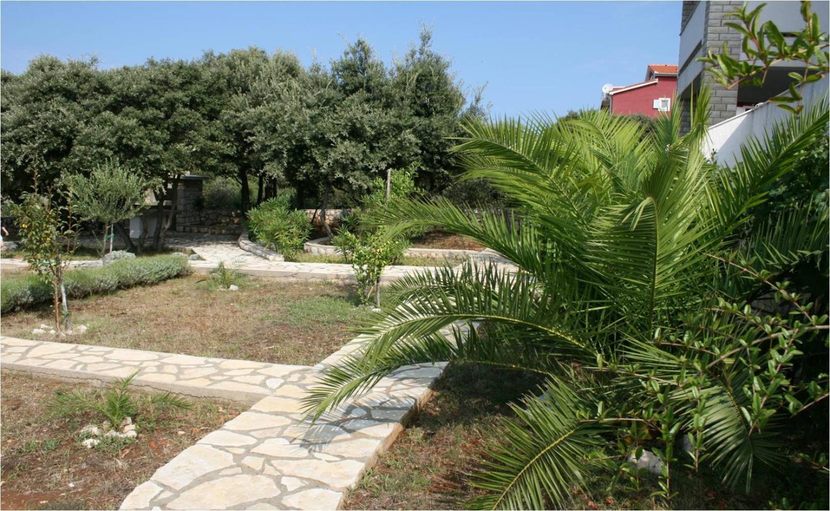 Apartman Roman Mandre view 3
