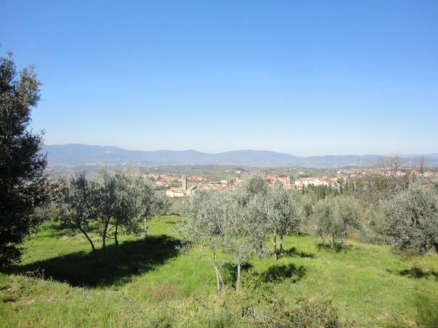 Photo 32