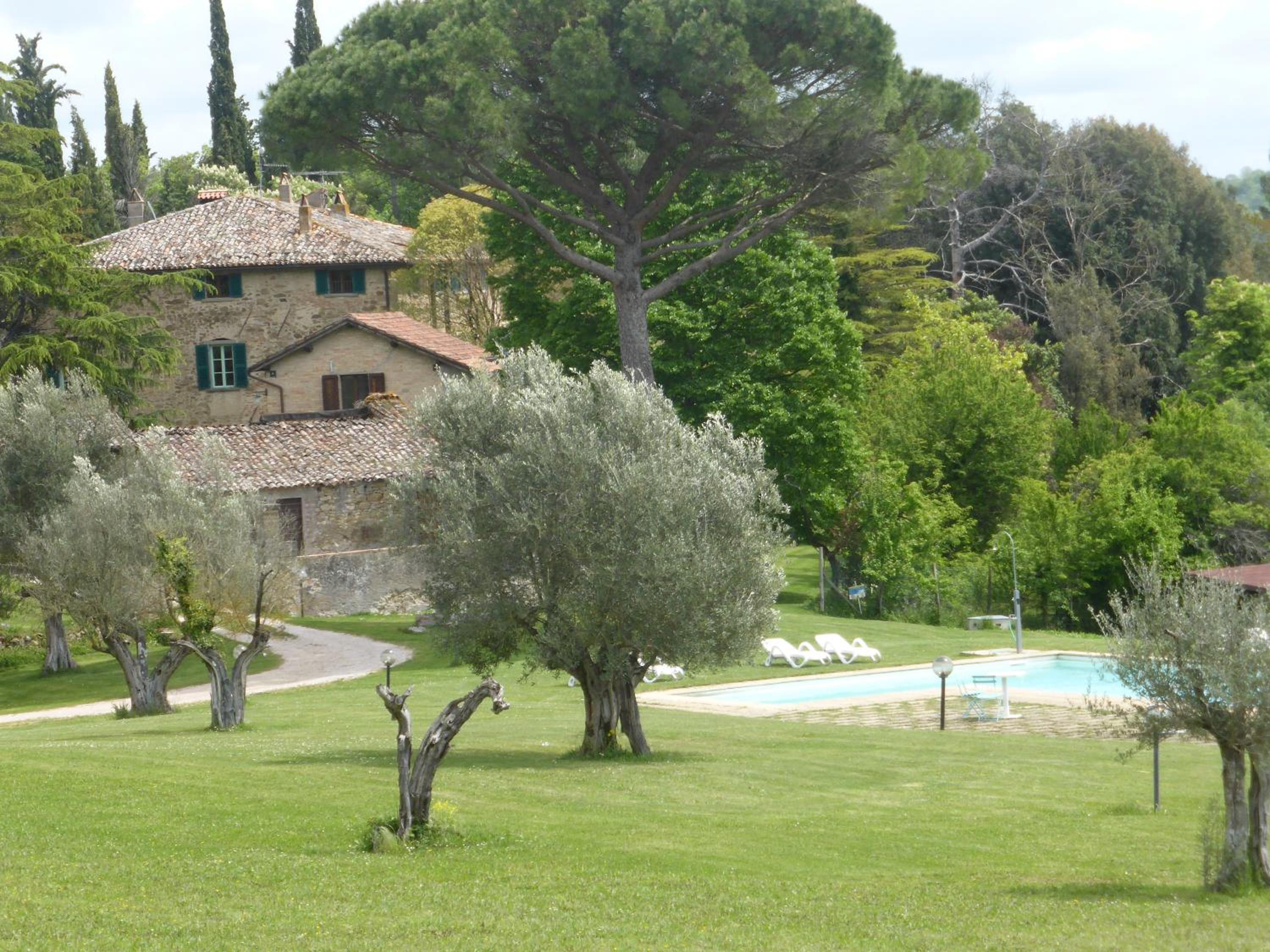 Photo 25