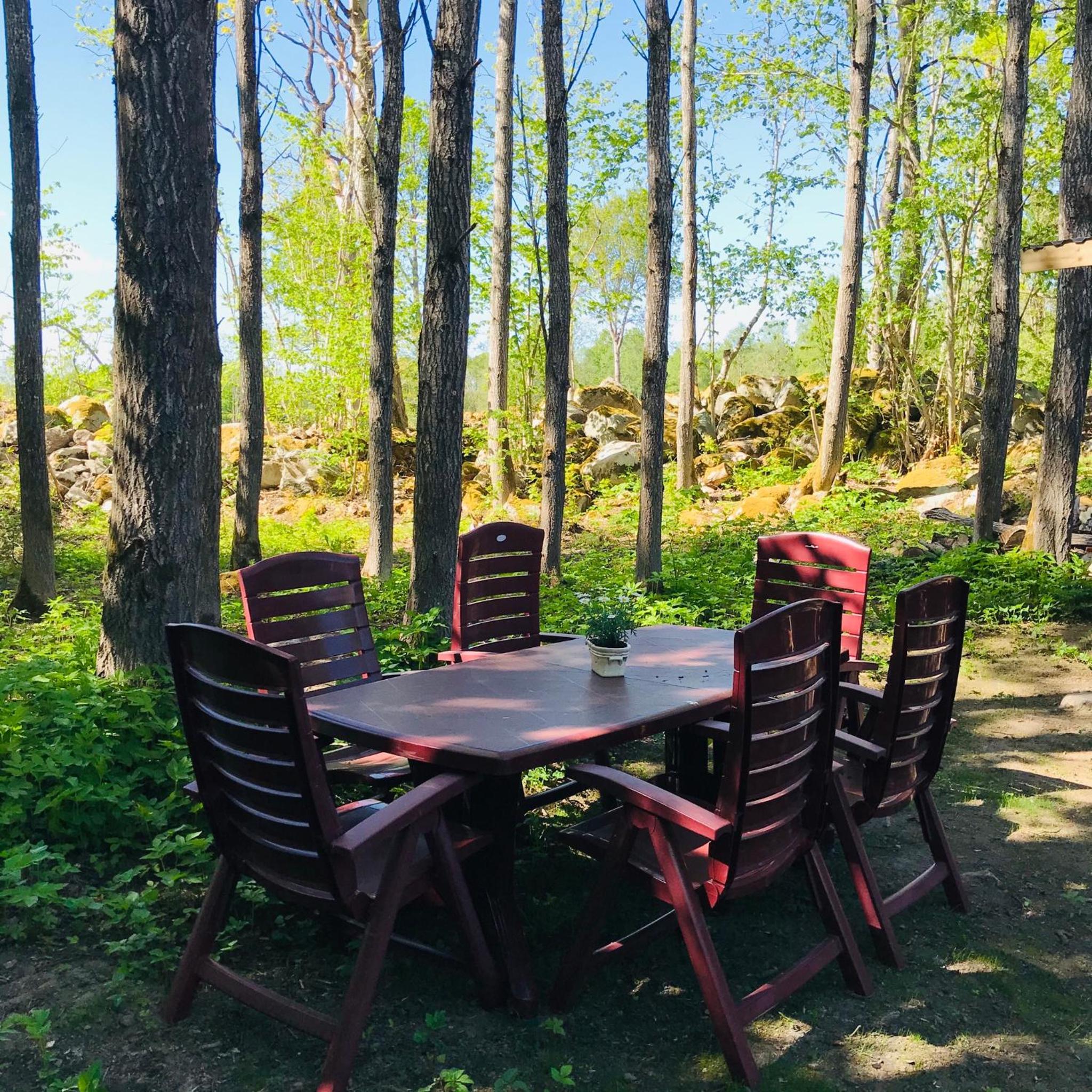 Photo 39