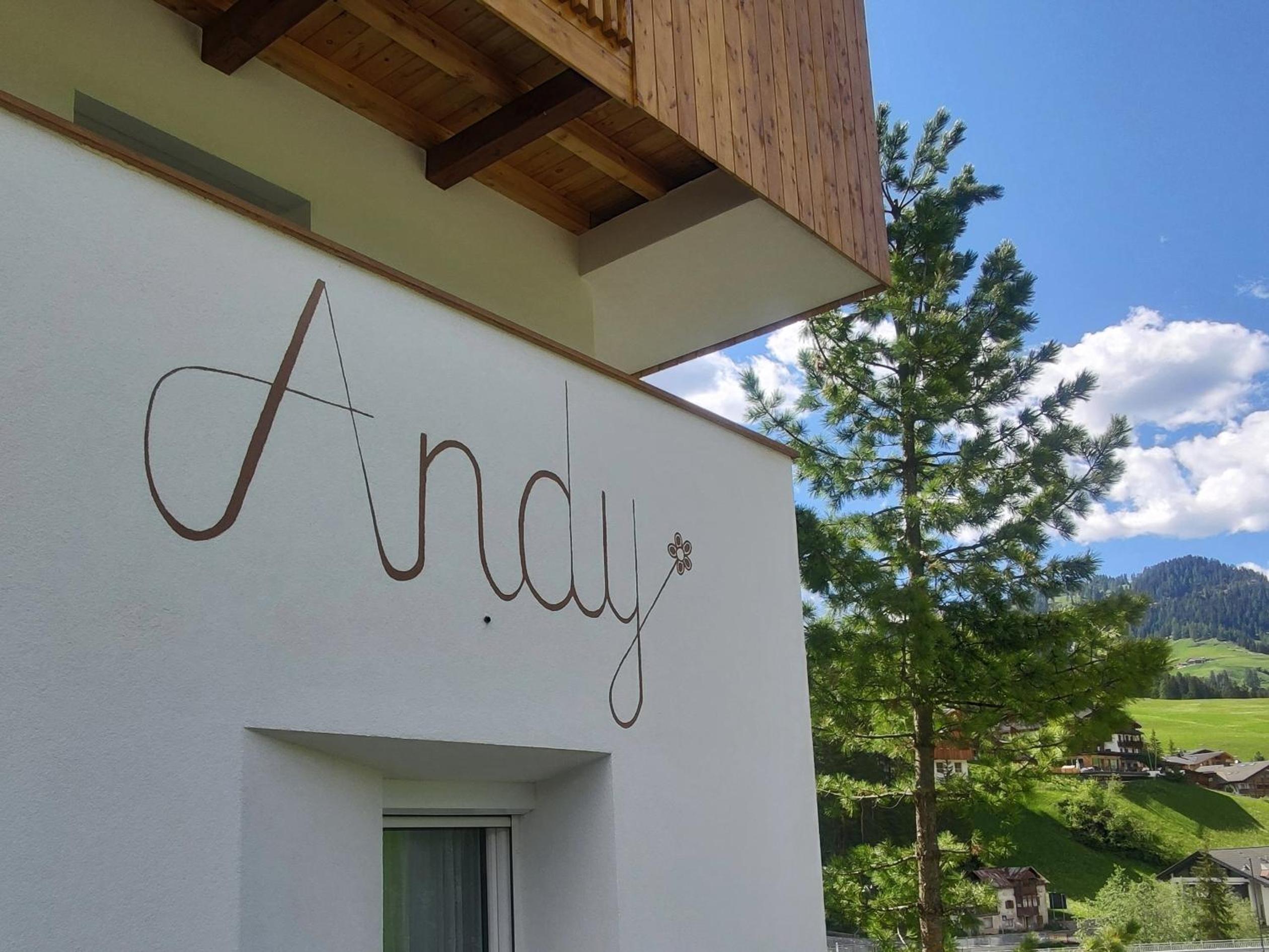 Ciasa Andy view 4